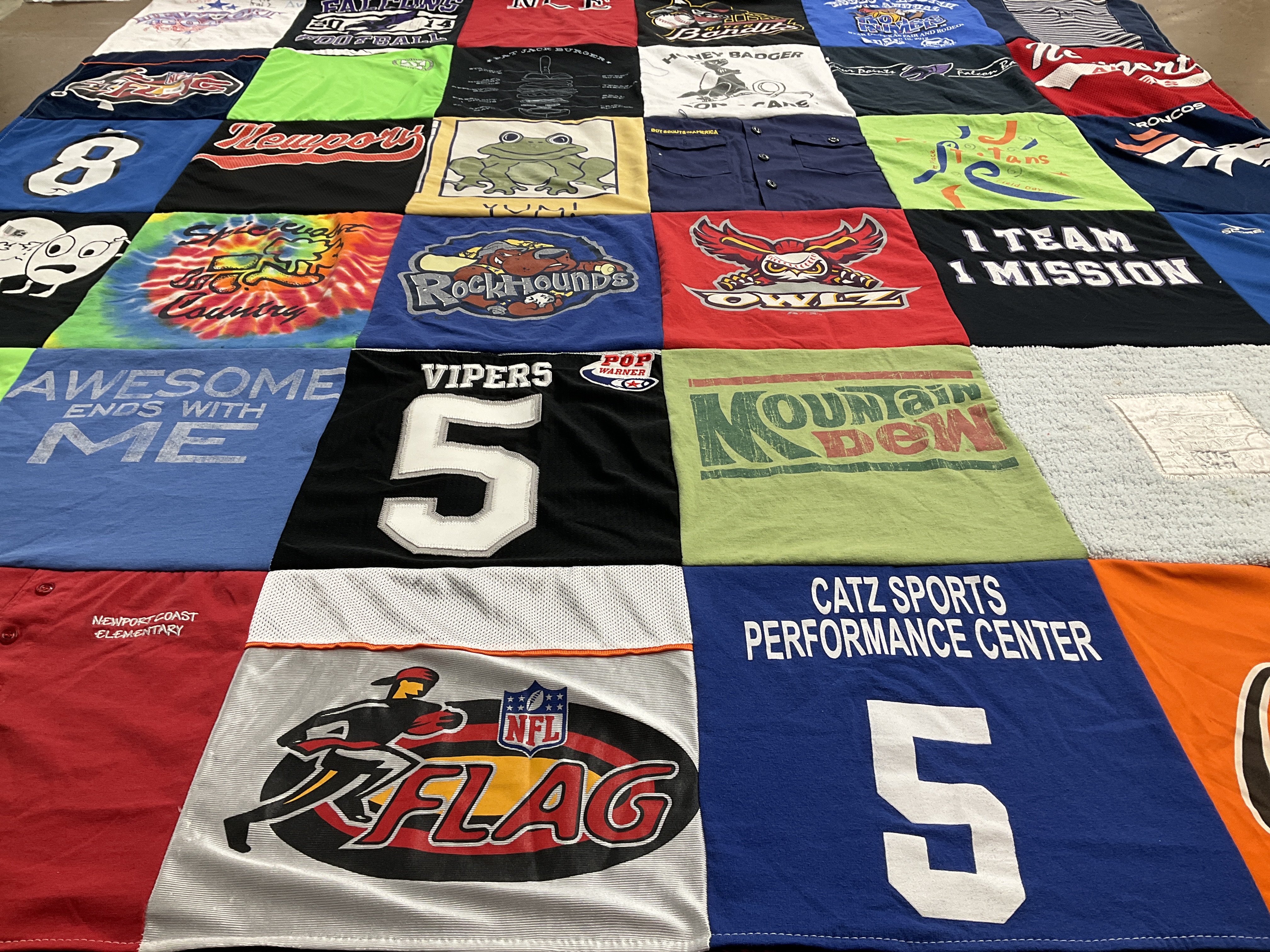 T-shirt quilt featuring vipers by jill from TX