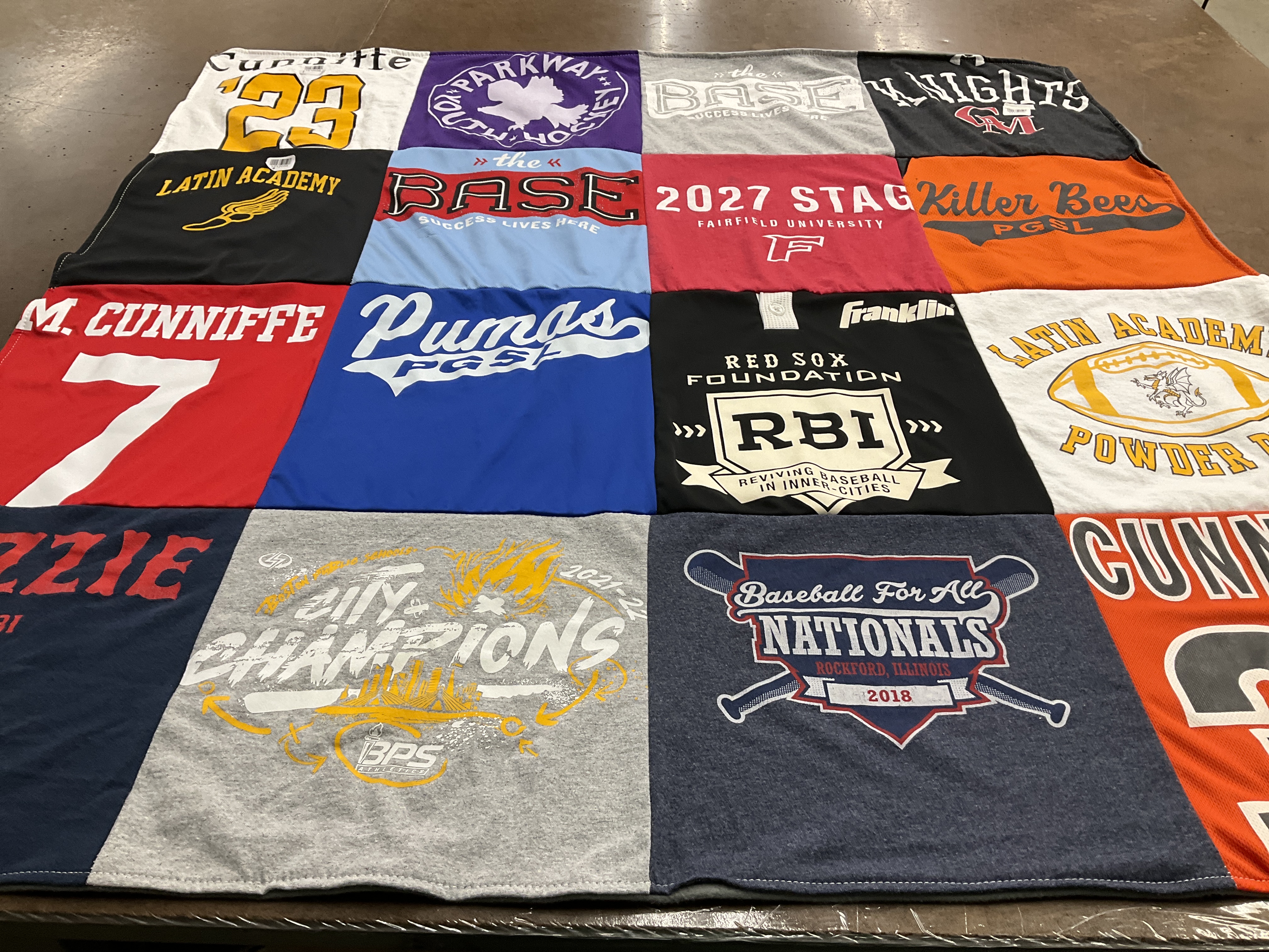 T-shirt quilt featuring killer bees, pumas by Kelly from MA
