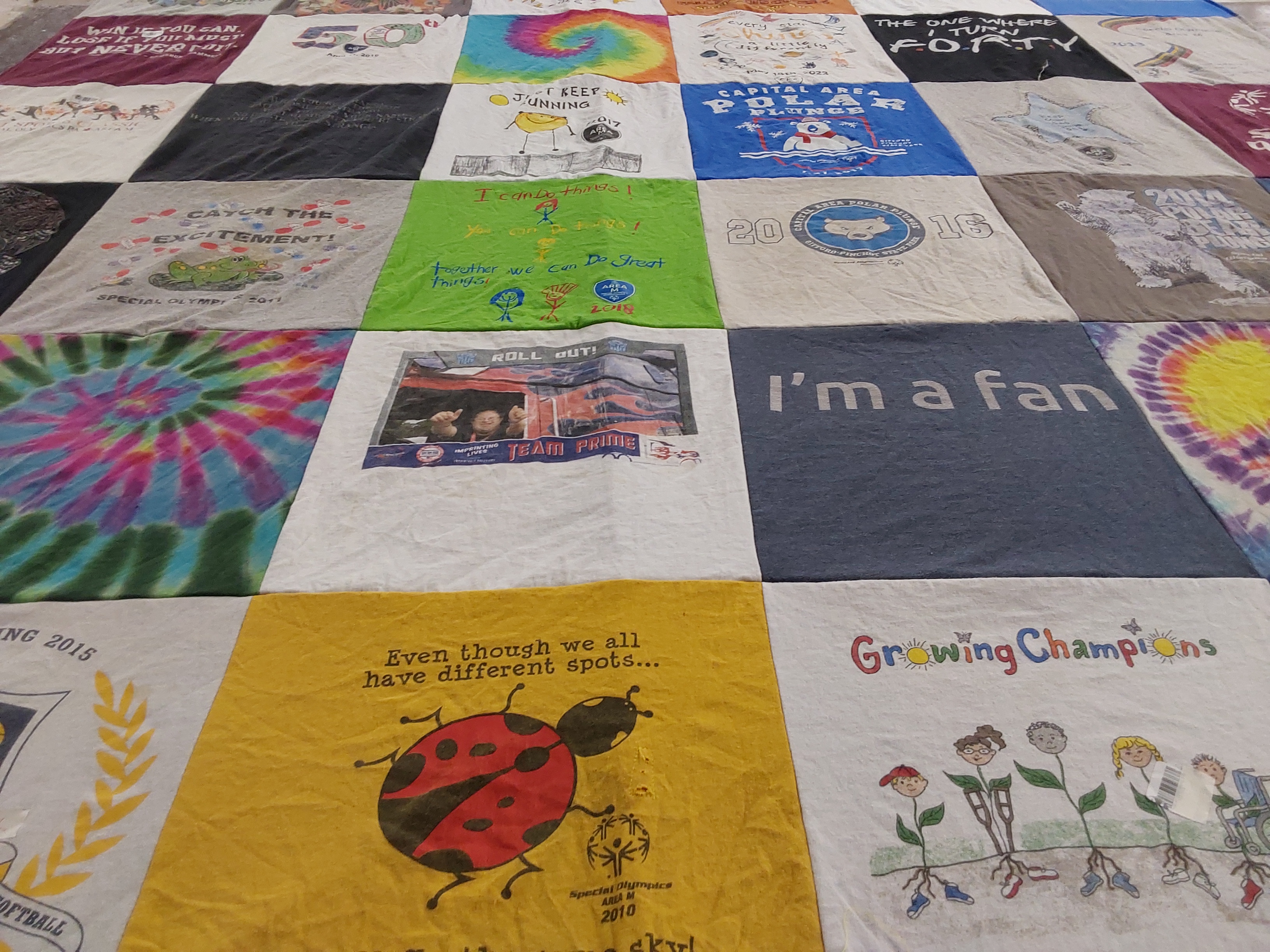 T-shirt quilt with sports, special olympics themes by Sarah from PA