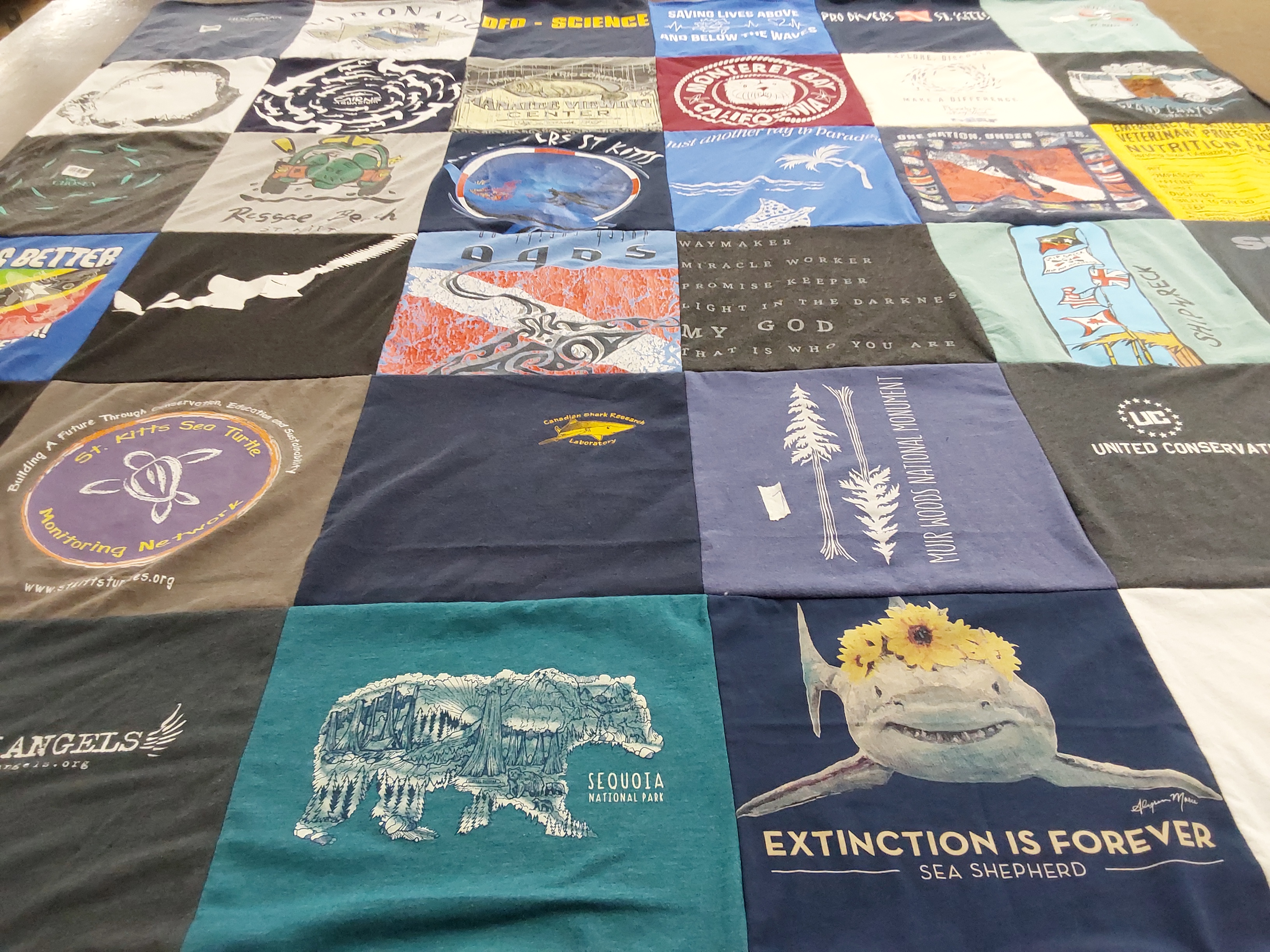 T-shirt quilt with environmental conservation, marine life themes by Rebecca from FL