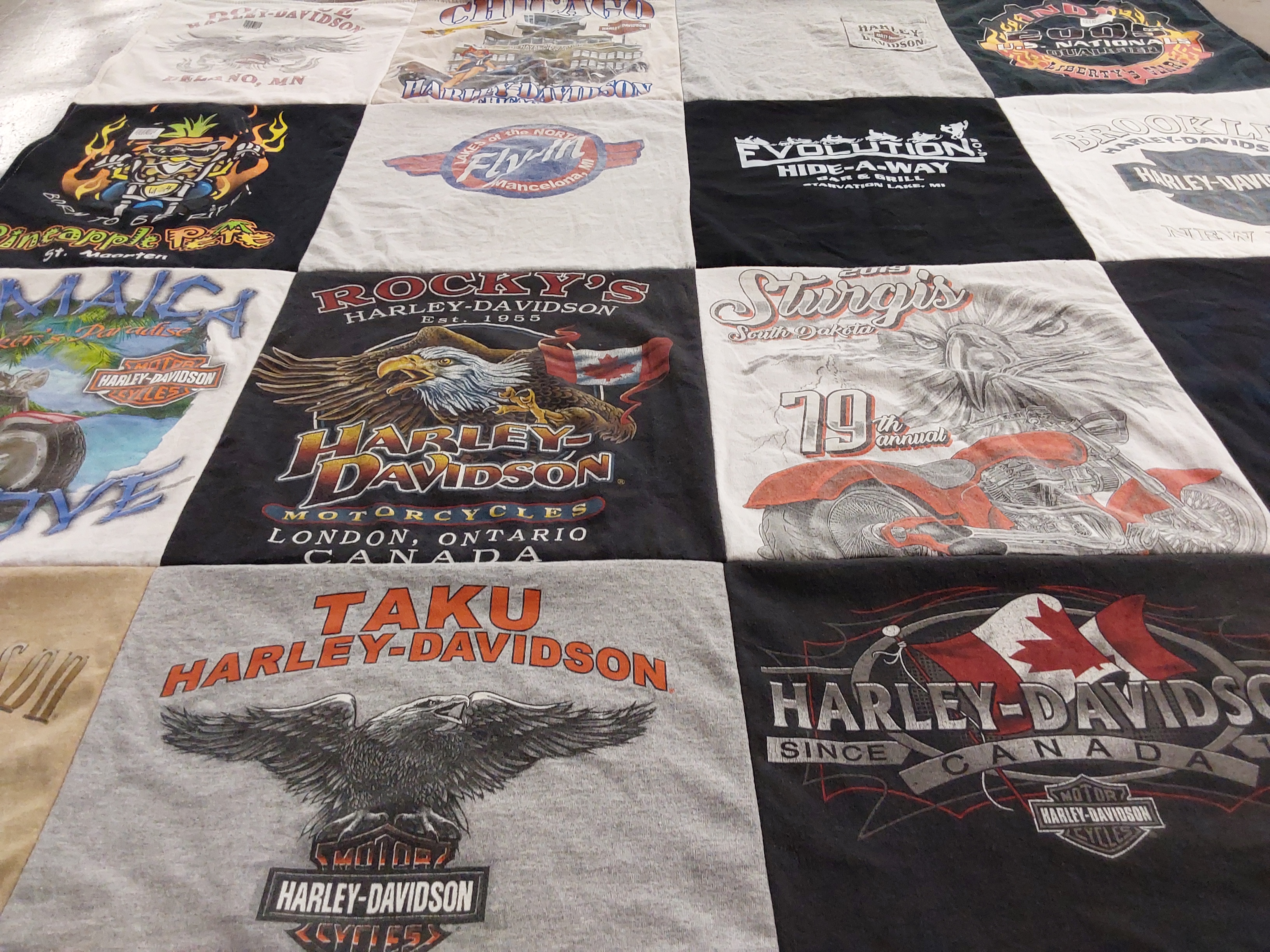 T-shirt quilt with motorcycling, travel themes by Leslie from MI