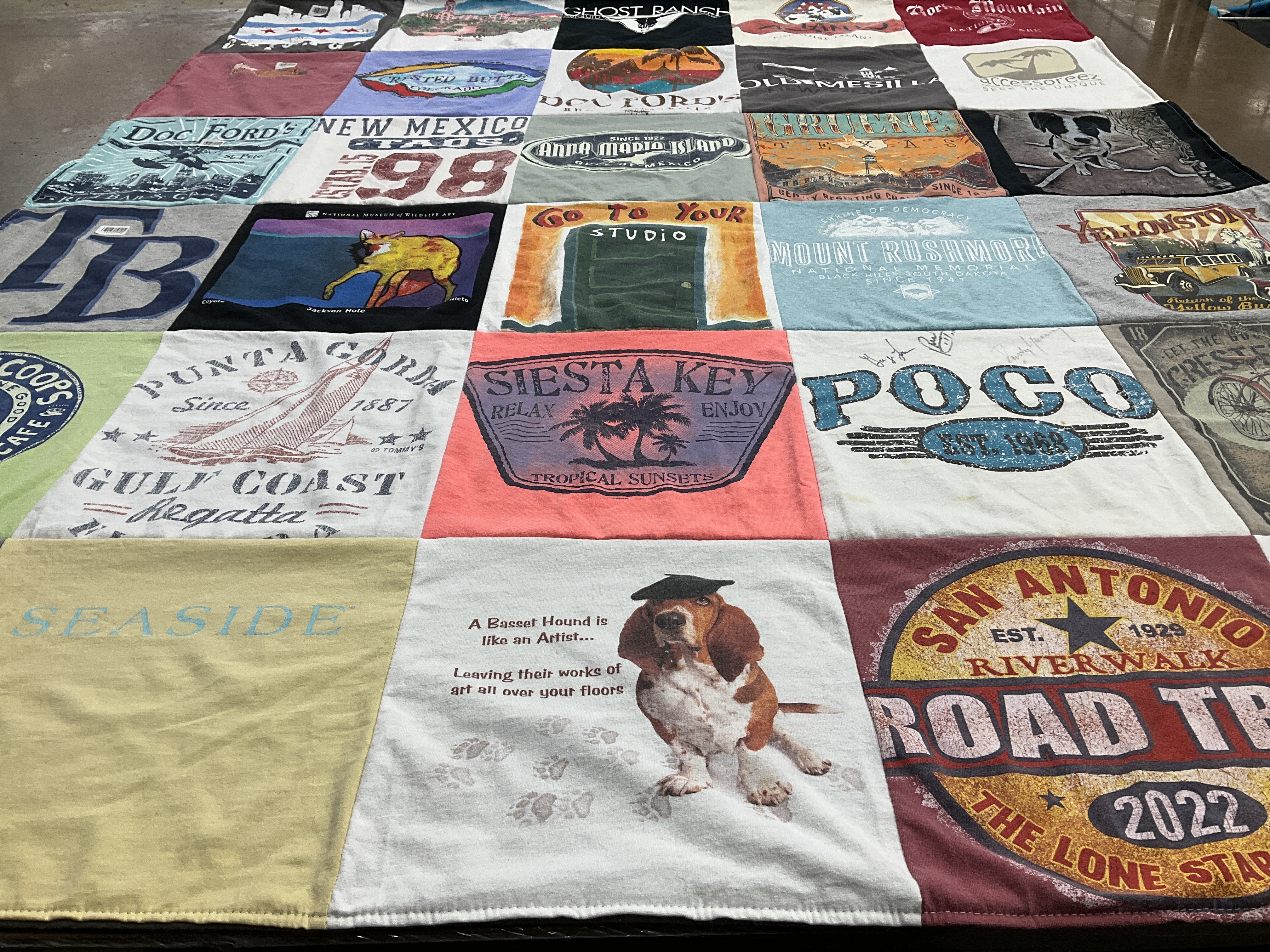 T-shirt quilt with travel, animals themes by Shelley from AZ
