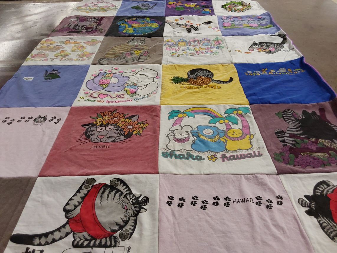 T-shirt quilt with cats, ice cream themes by Esther from CO
