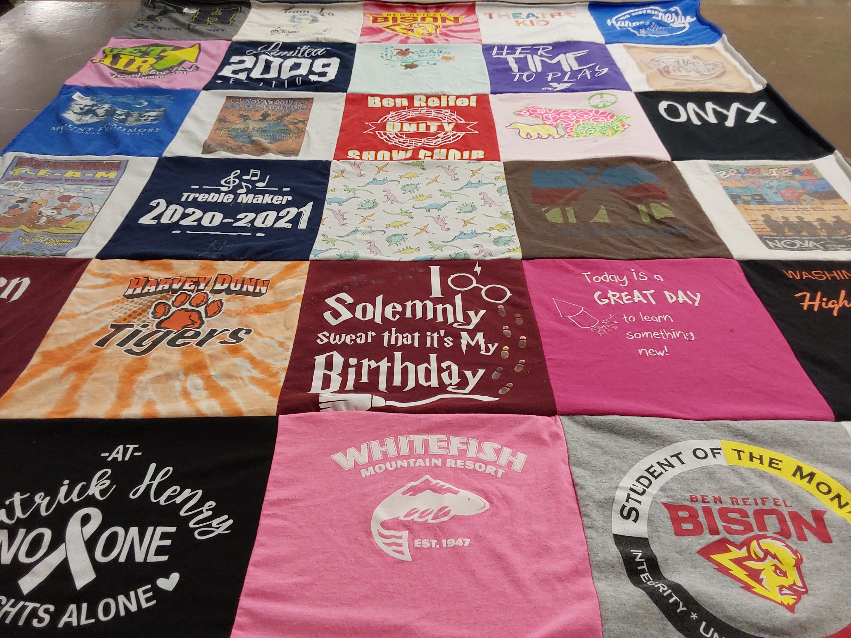 T-shirt quilt featuring harvey dunn tigers, ben reifel bison by Lauren from GA