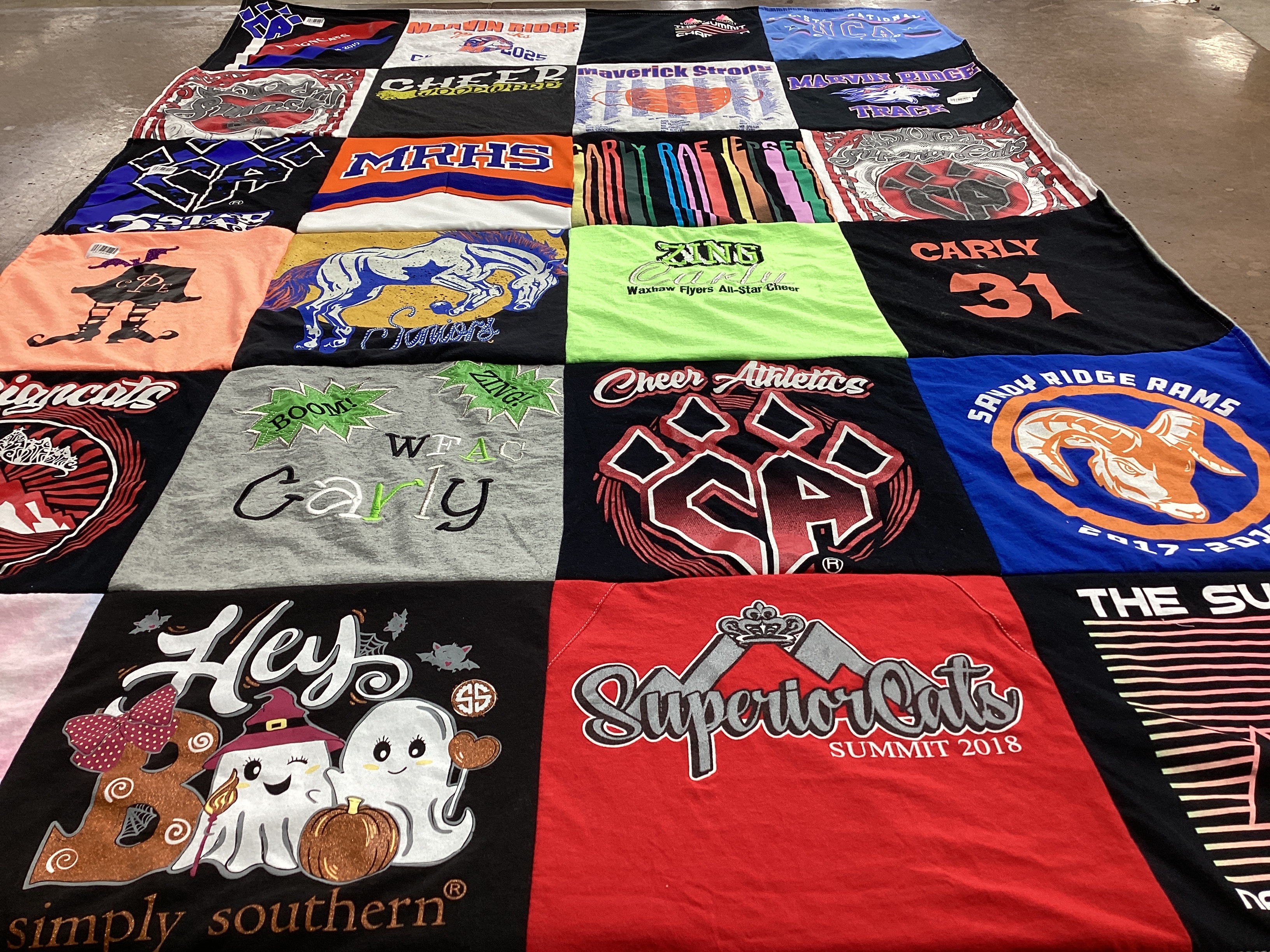 T-shirt quilt featuring sandy ridge rams by Karen from NC