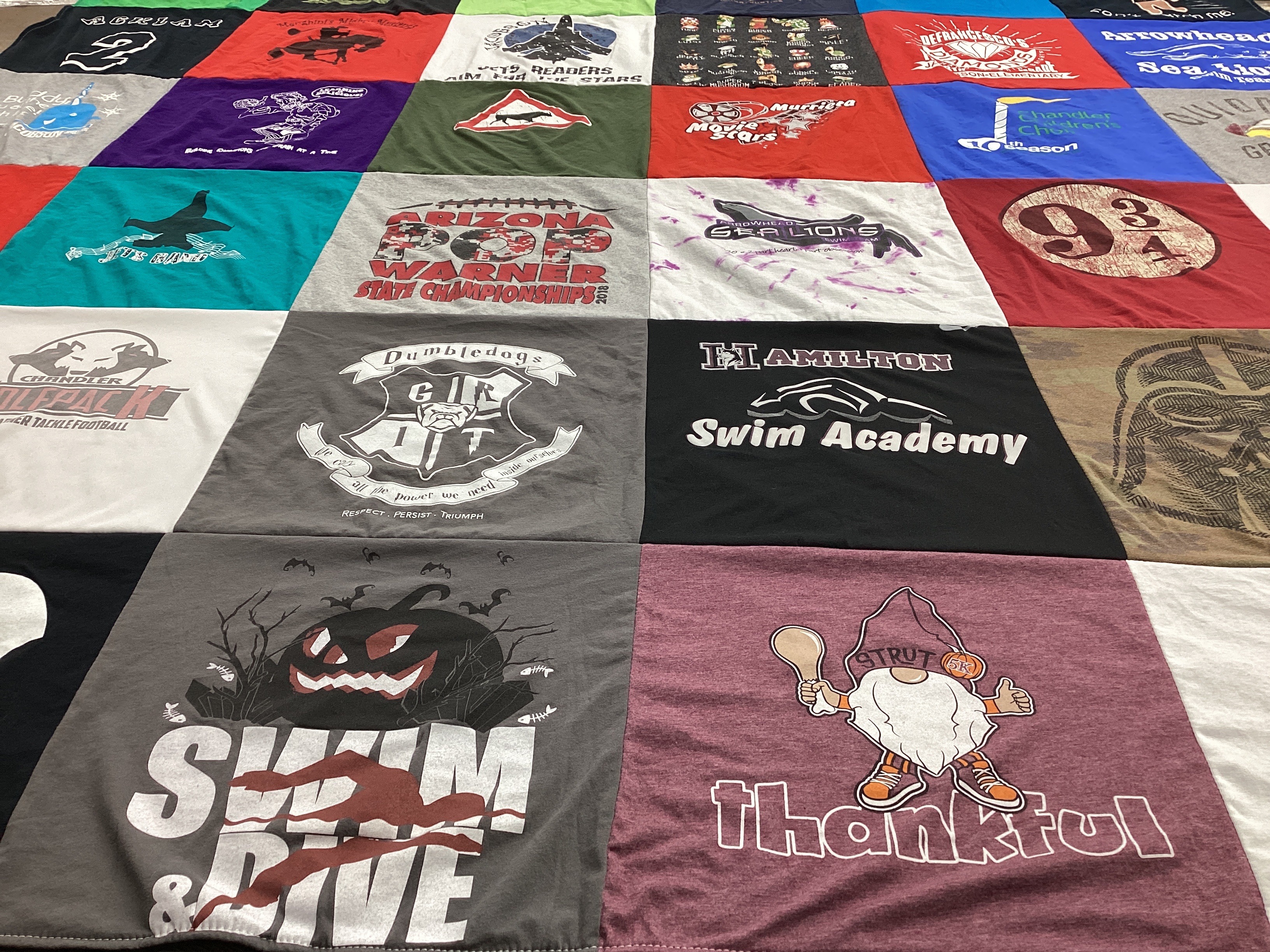 T-shirt quilt from hamilton swim academy by Michelle from AZ