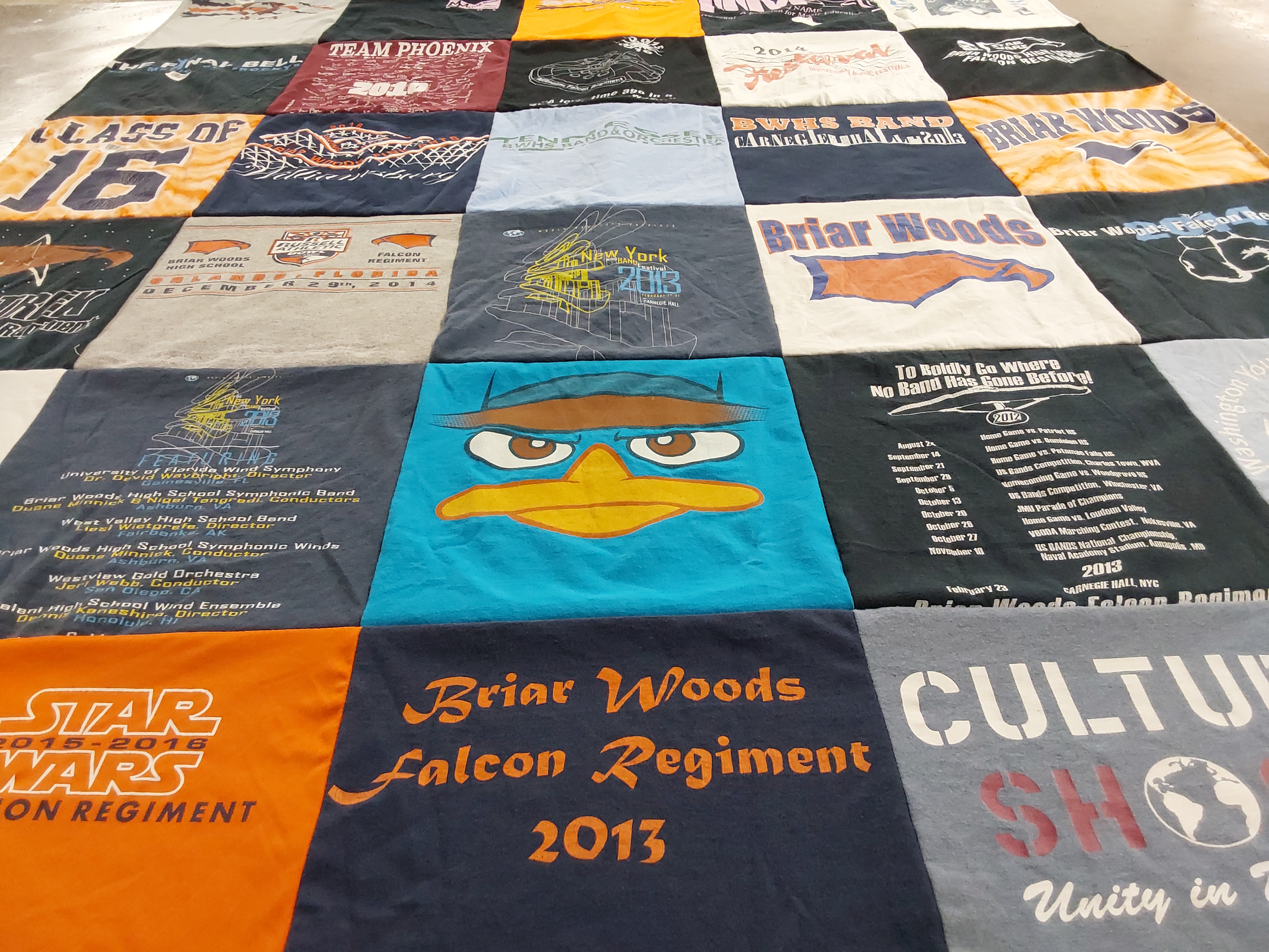 T-shirt quilt from briar woods high school by Robin A from VA