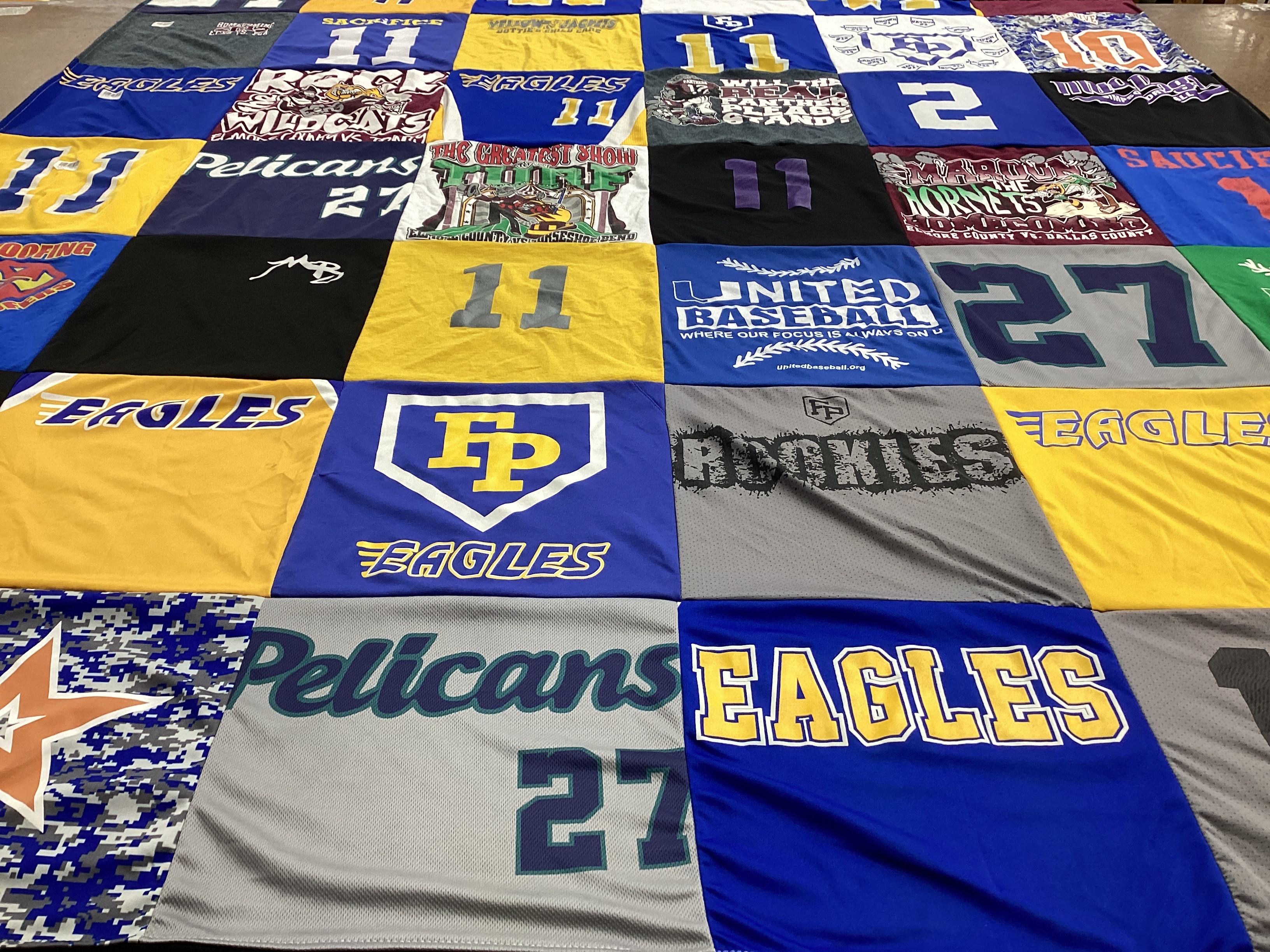 T-shirt quilt featuring pelicans, eagles by Crystol from AL