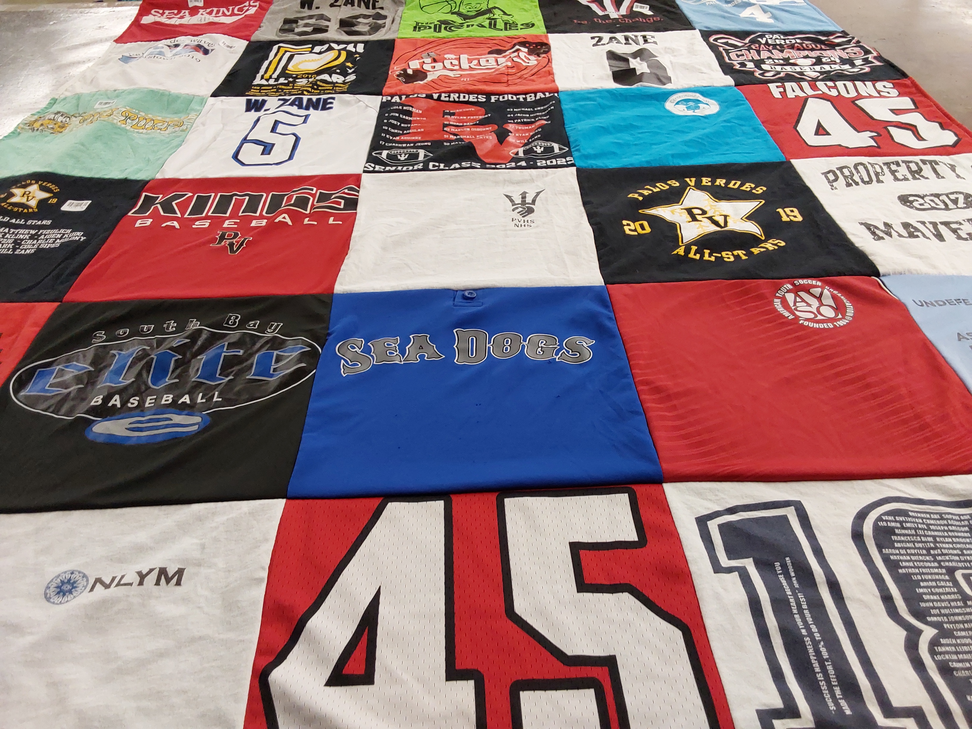 T-shirt quilt featuring south bay elite, sea dogs by karen from CA