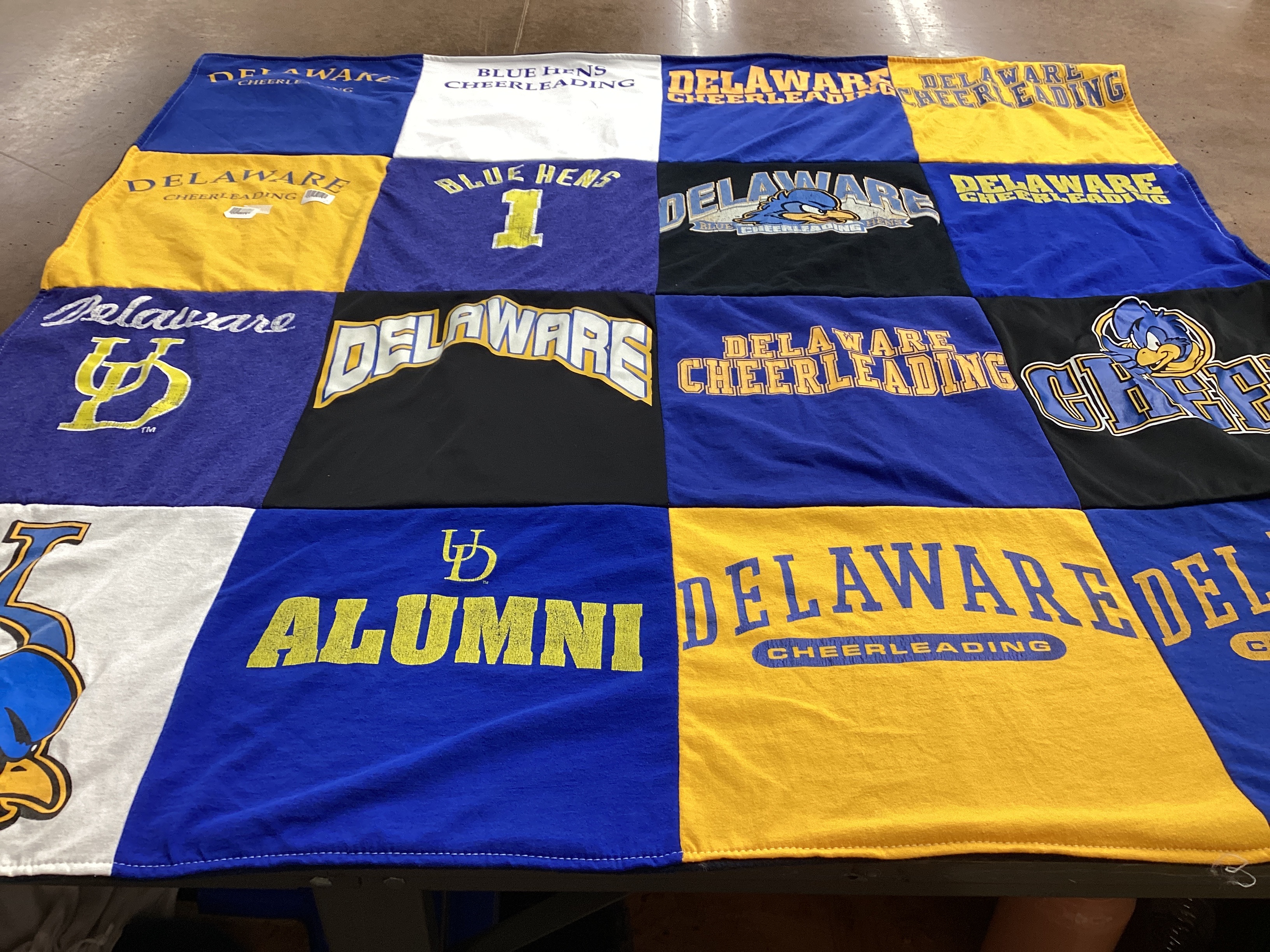 T-shirt quilt featuring blue hens by Michele from DE