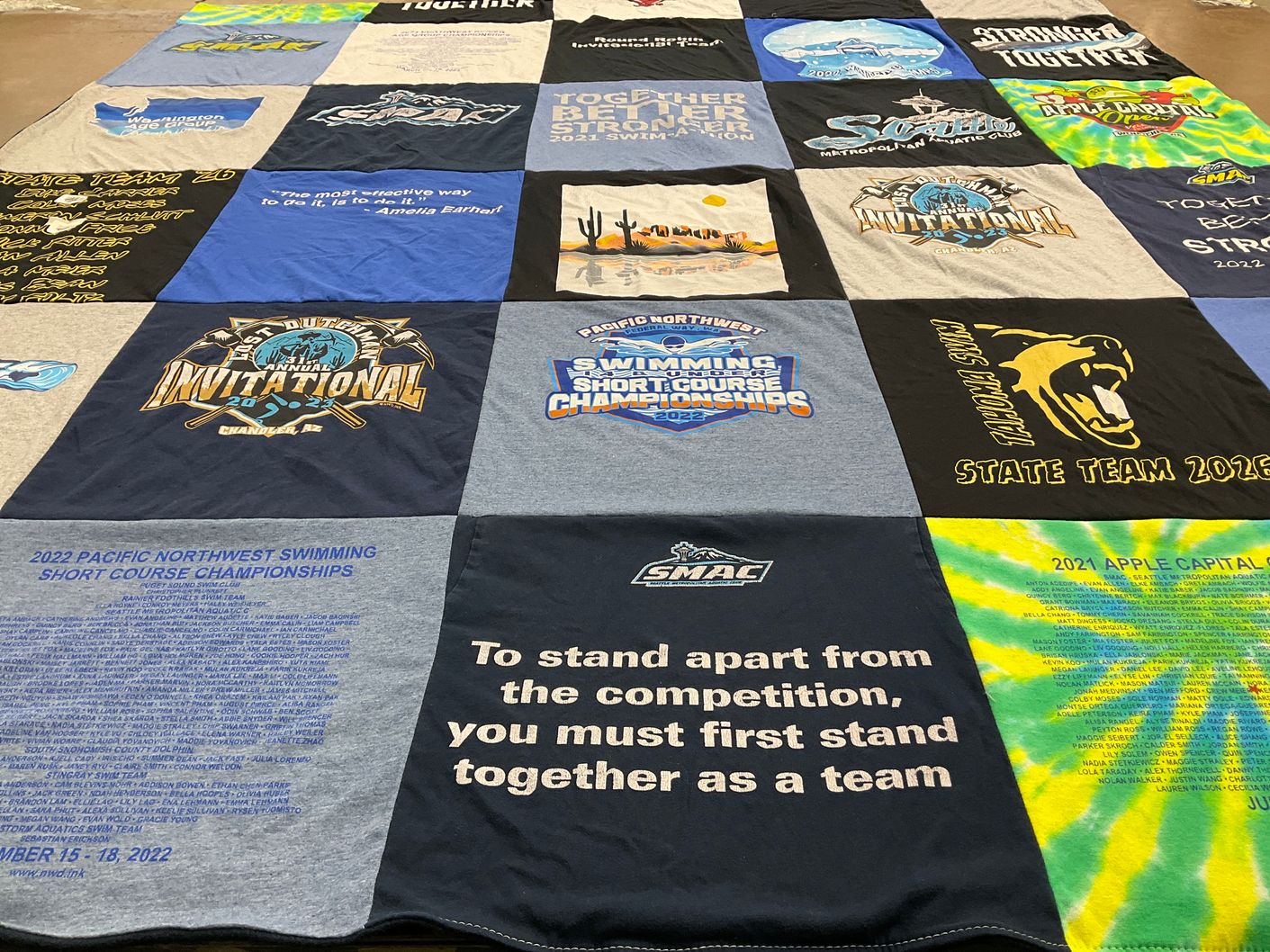 T-shirt quilt with swimming themes by Nichole from WA