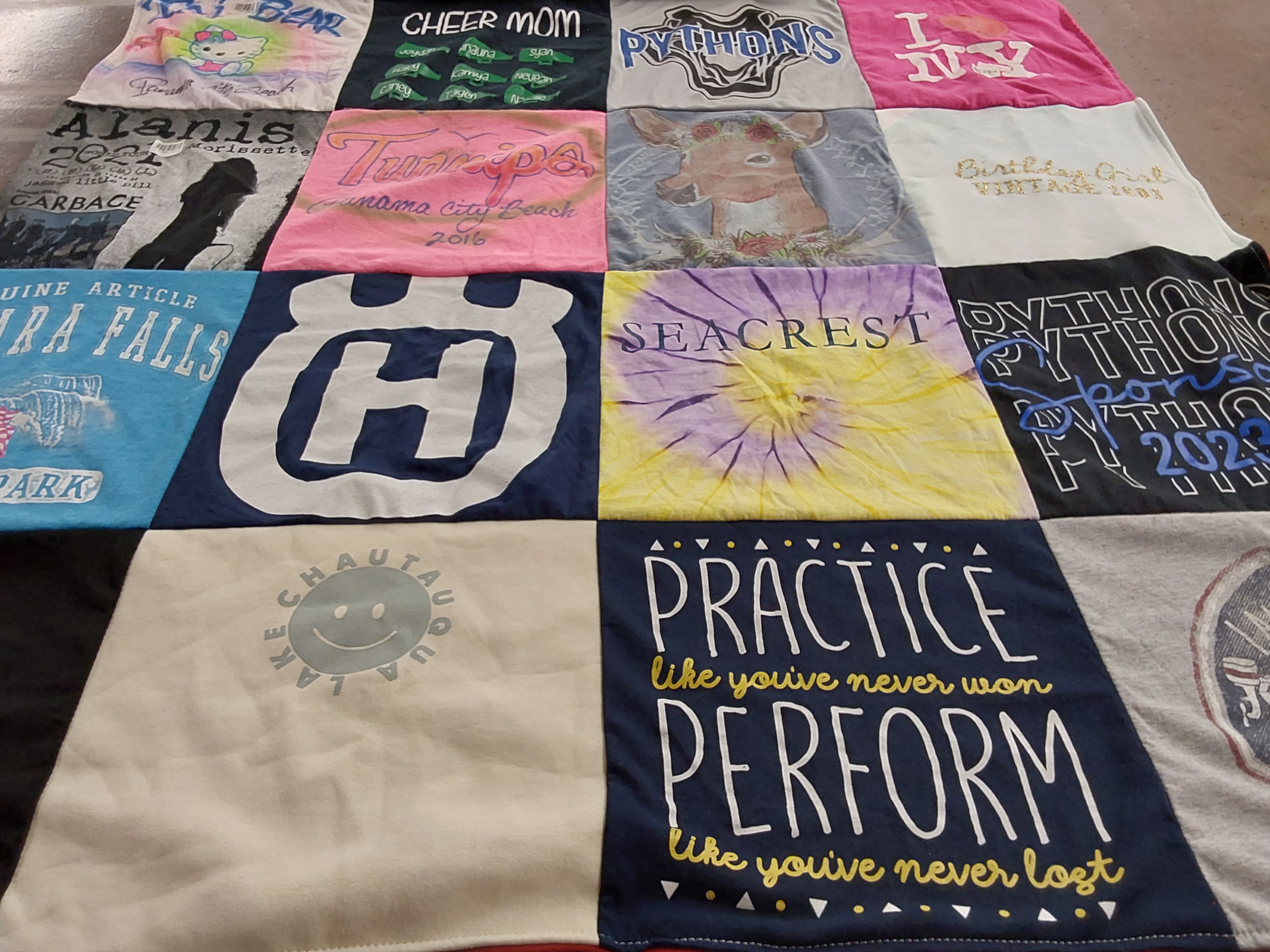 T-shirt quilt featuring python's team by Marissa from FL