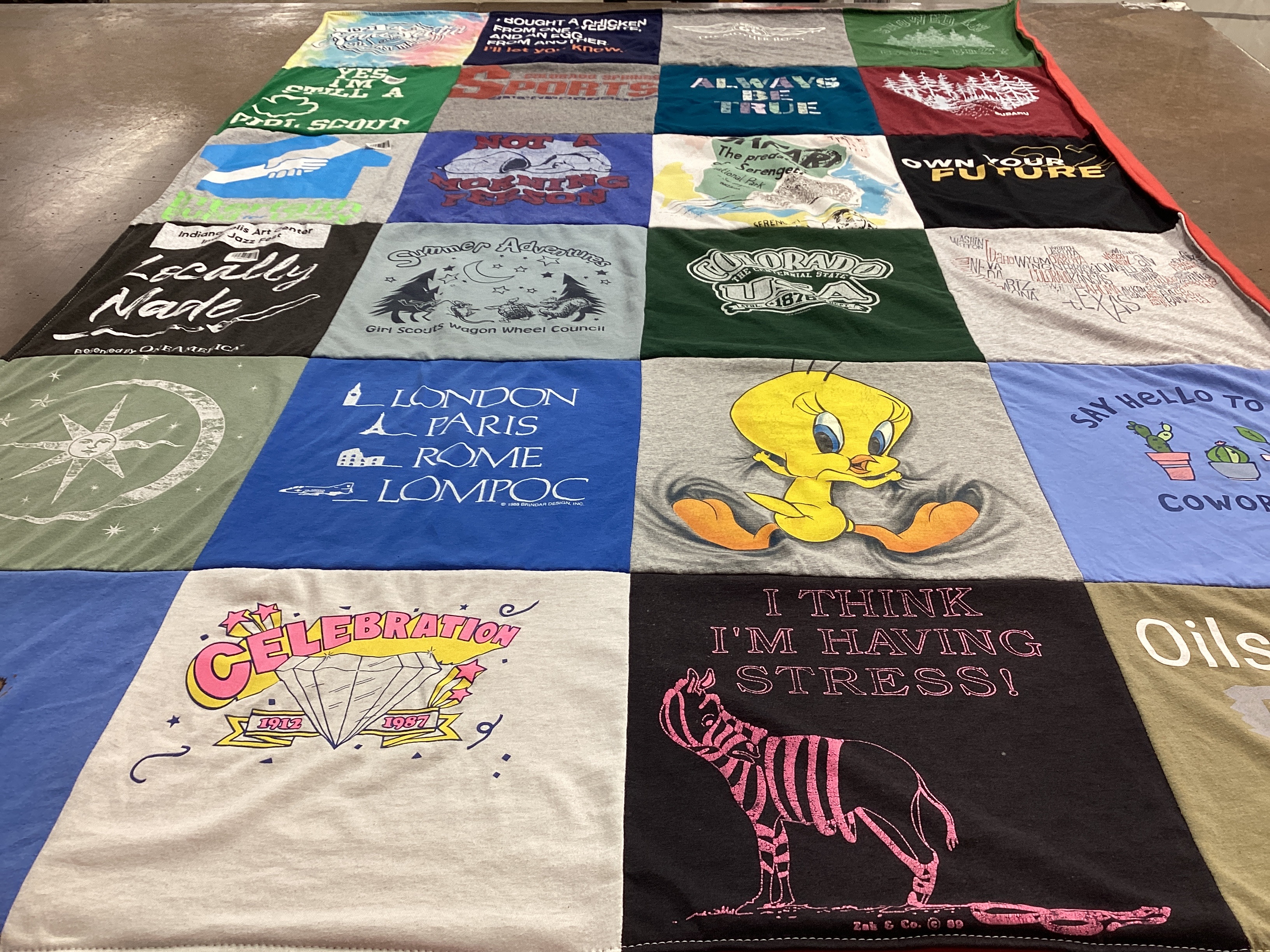 T-shirt quilt with traveling, cooking themes by Barbara from CO