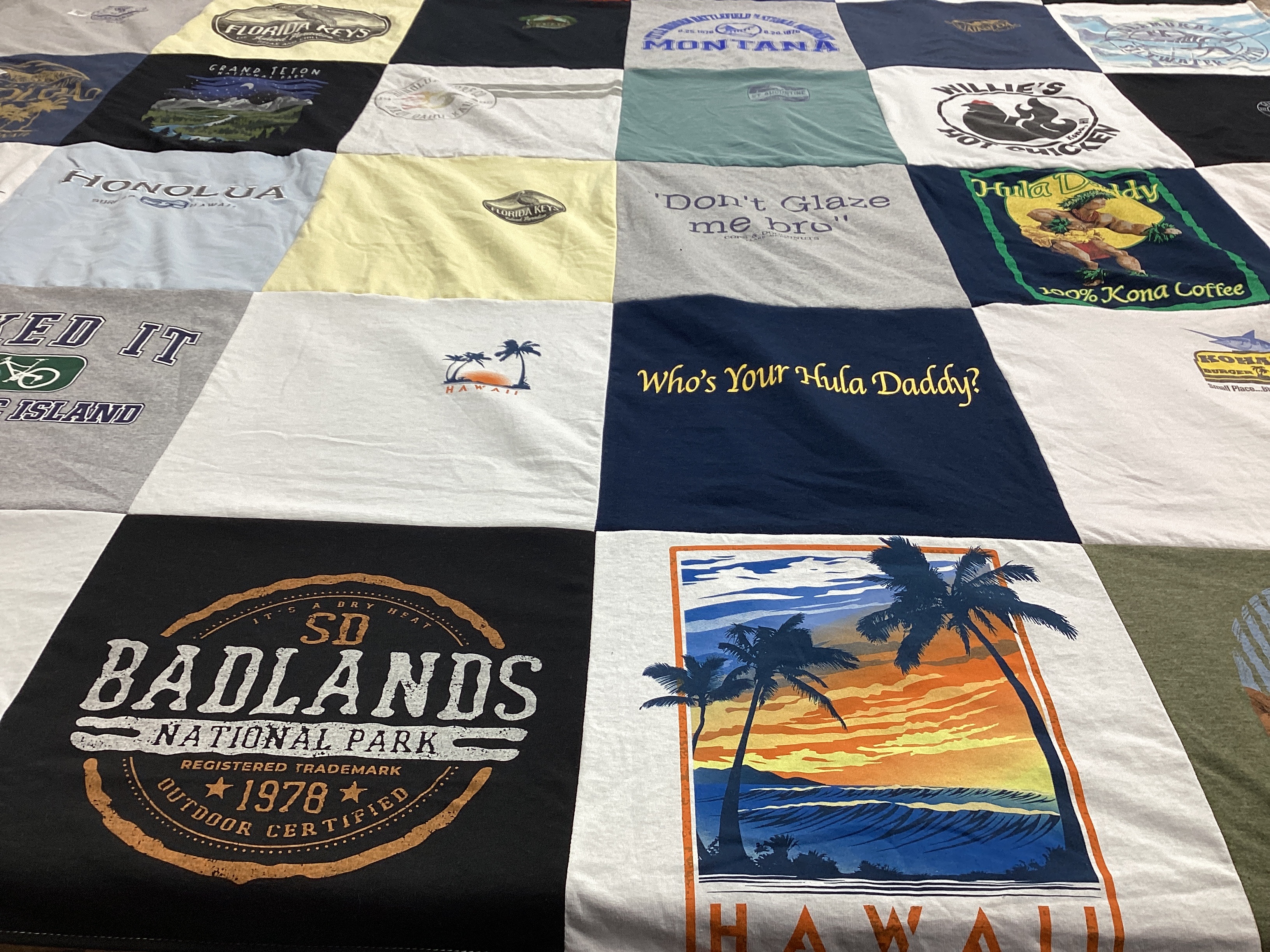 T-shirt quilt with travel, outdoors themes by Sandra from IL