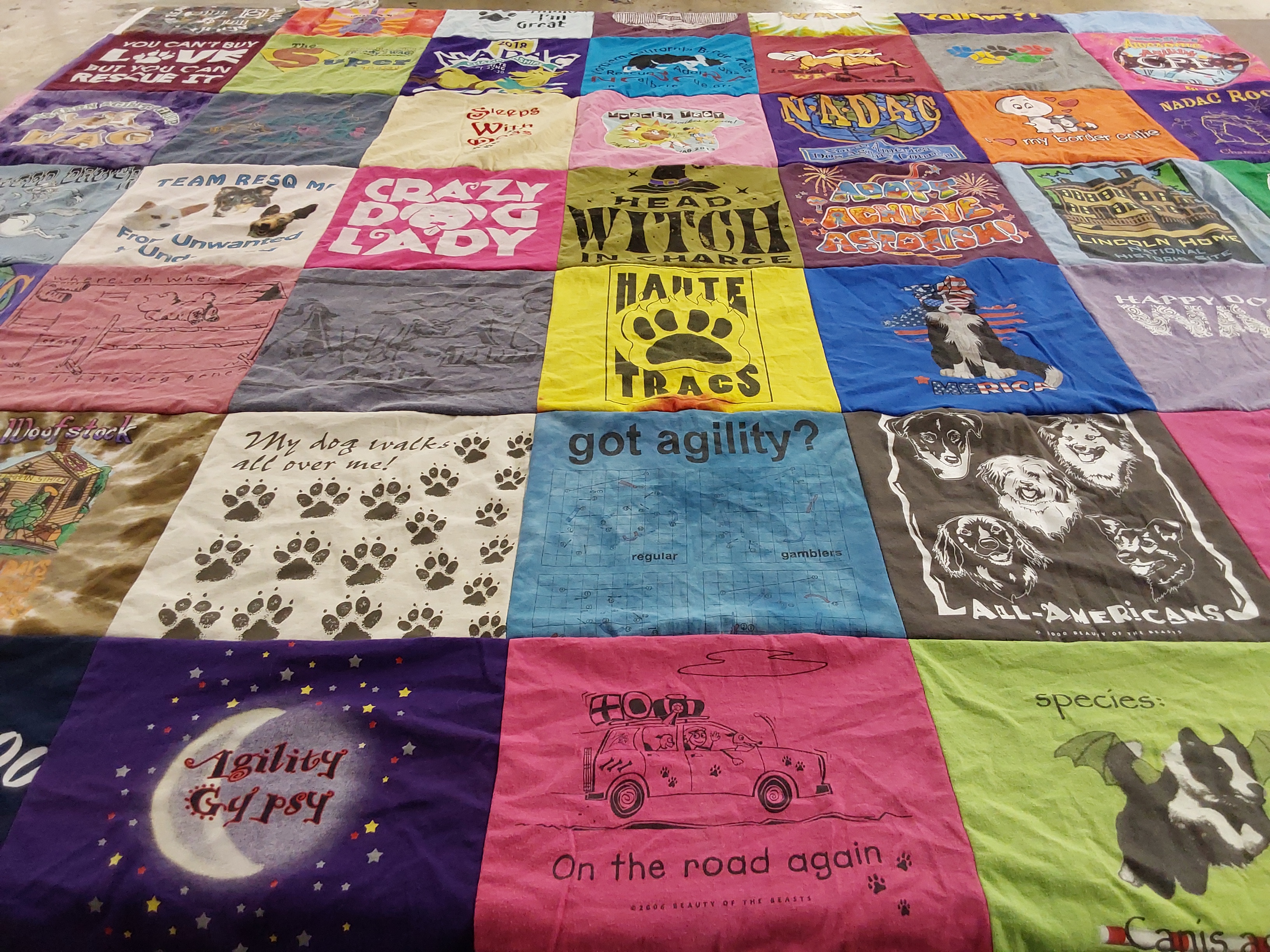 T-shirt quilt with dogs, dog training themes by Kathleen from CA