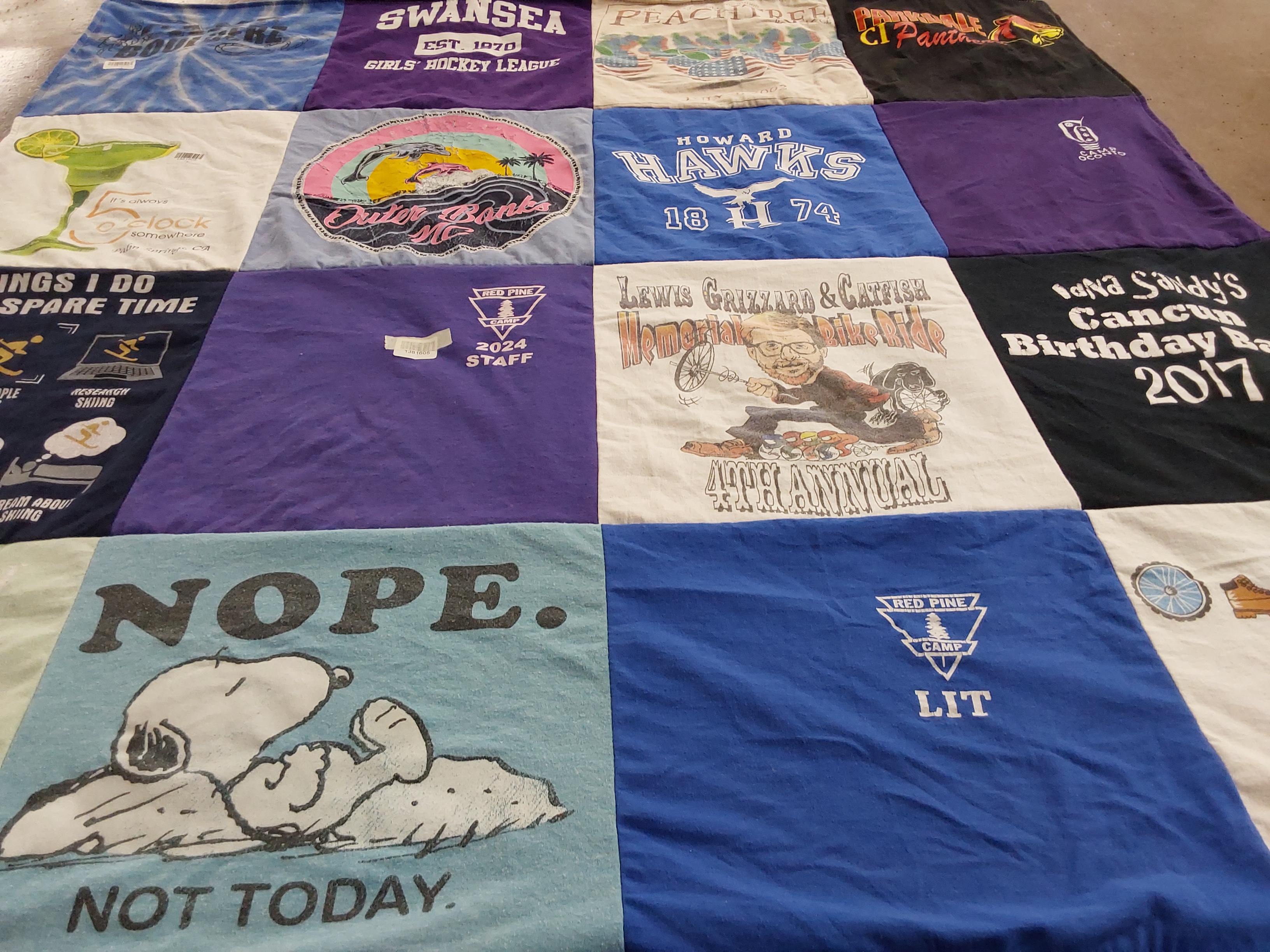 T-shirt quilt featuring panthers by SANDY from GA