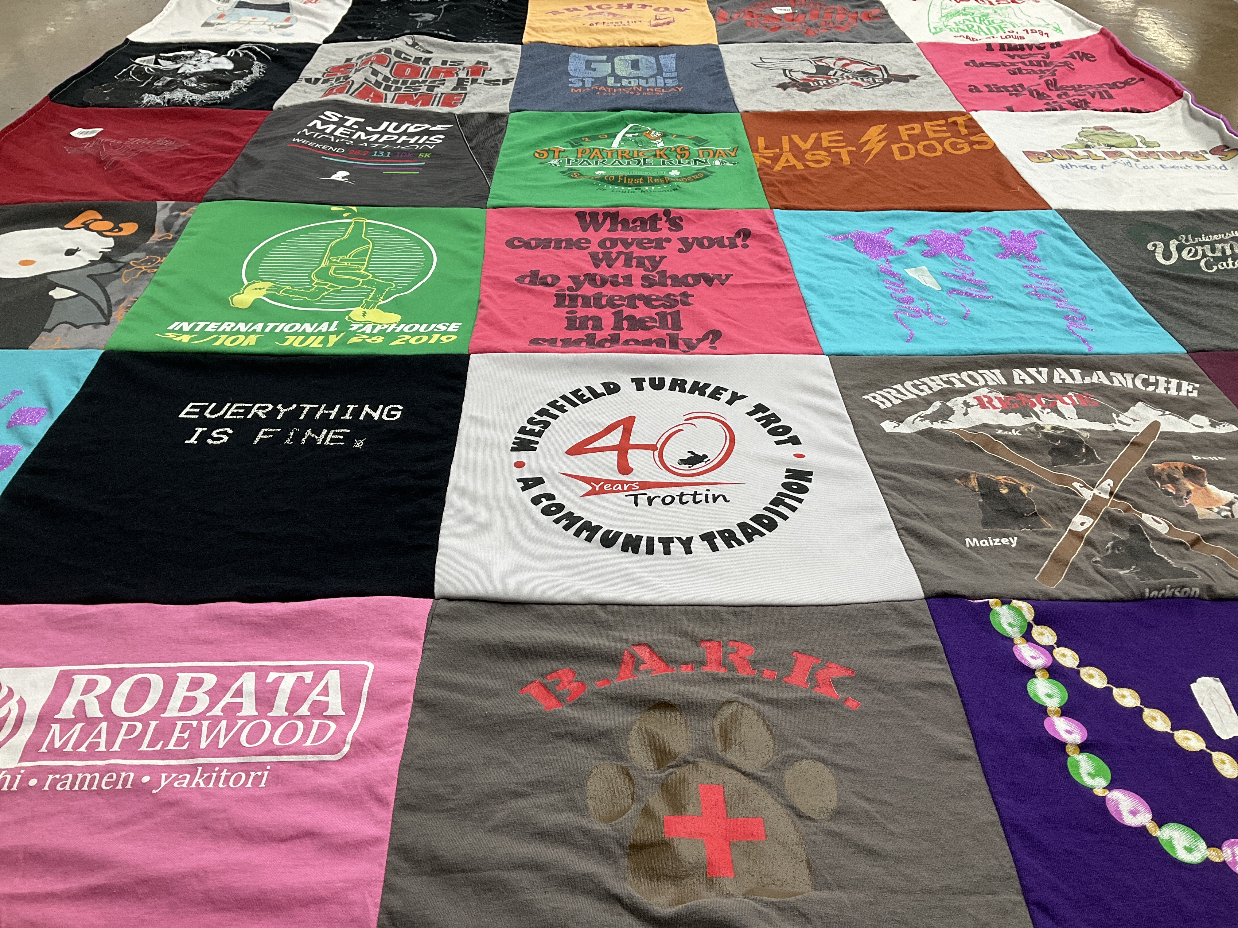 T-shirt quilt featuring brighton avalanche by Alicen from MO