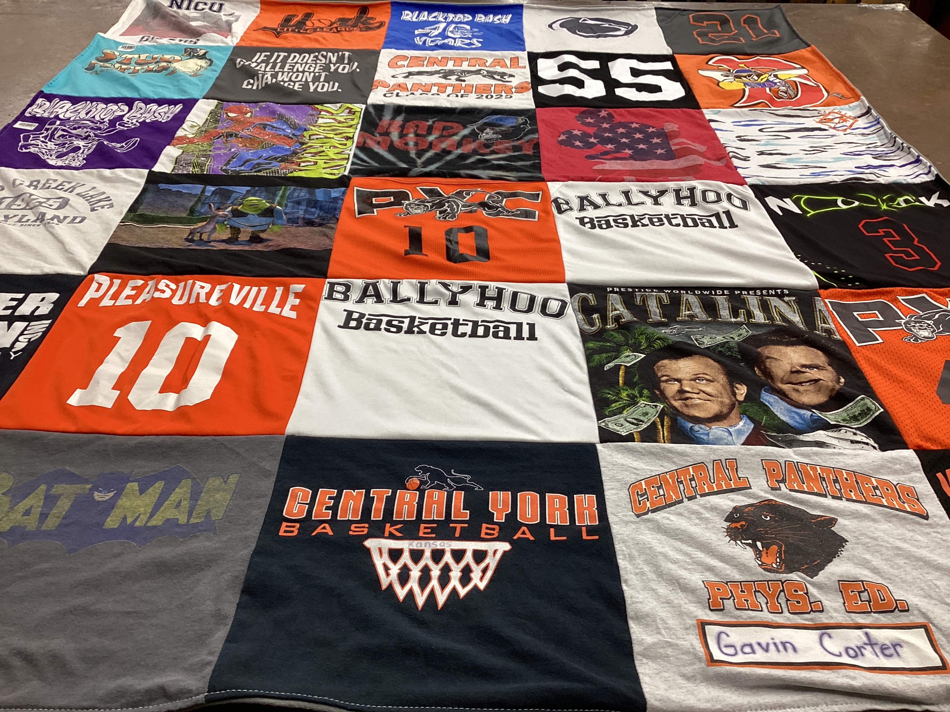 T-shirt quilt featuring central panthers by Mary from PA