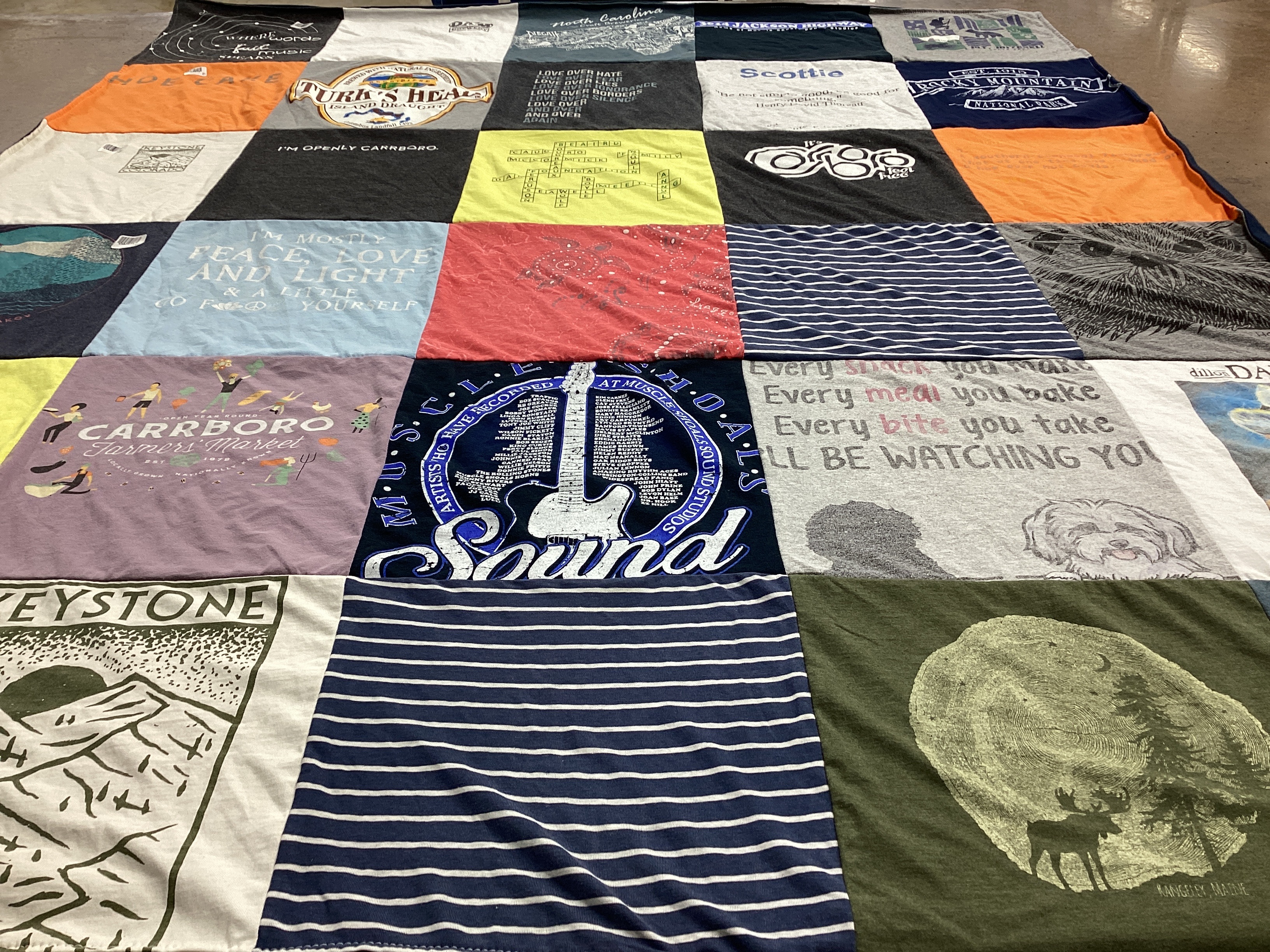 T-shirt quilt with music, nature themes by Frances from NC