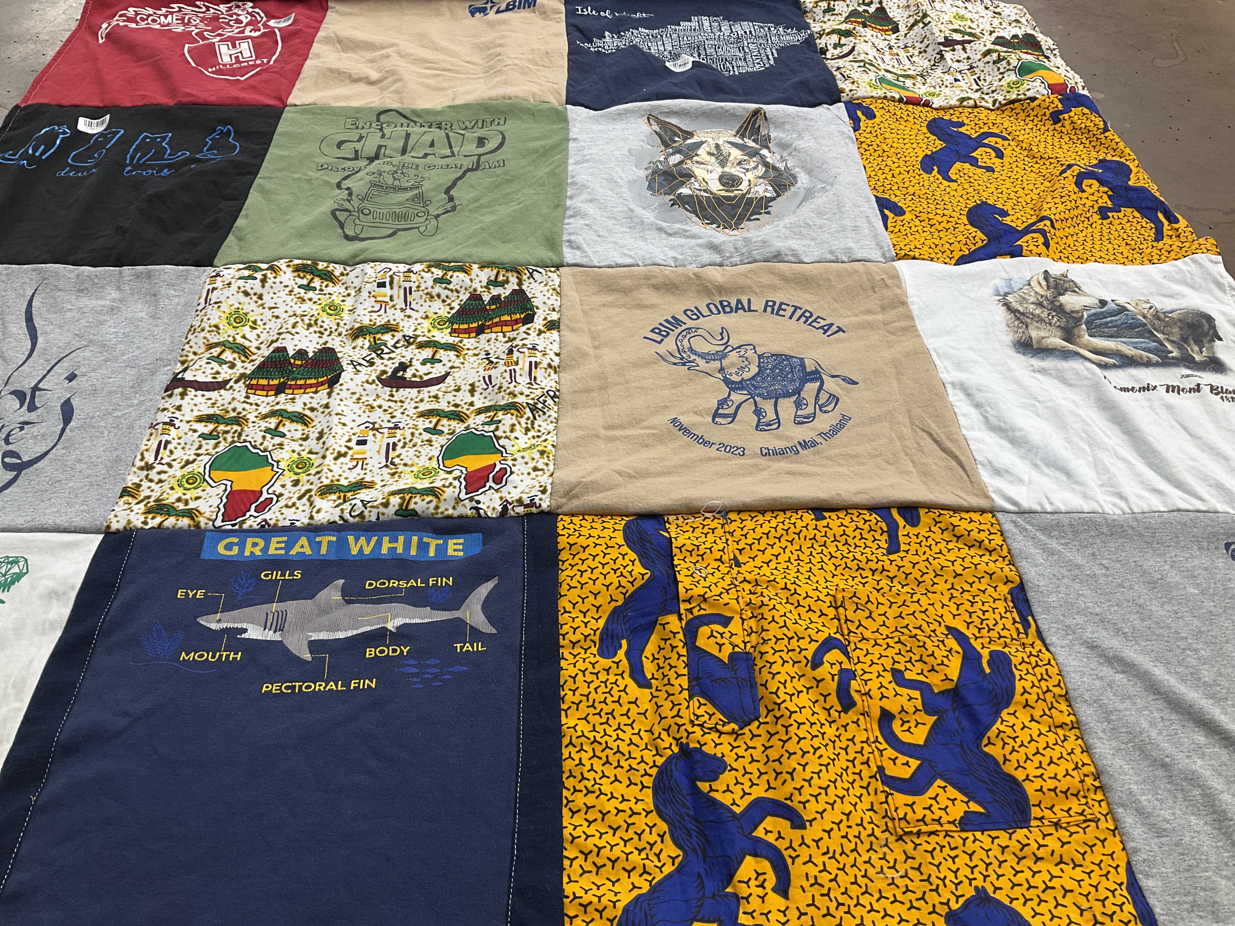 T-shirt quilt with wildlife, travel themes by Claire from PA