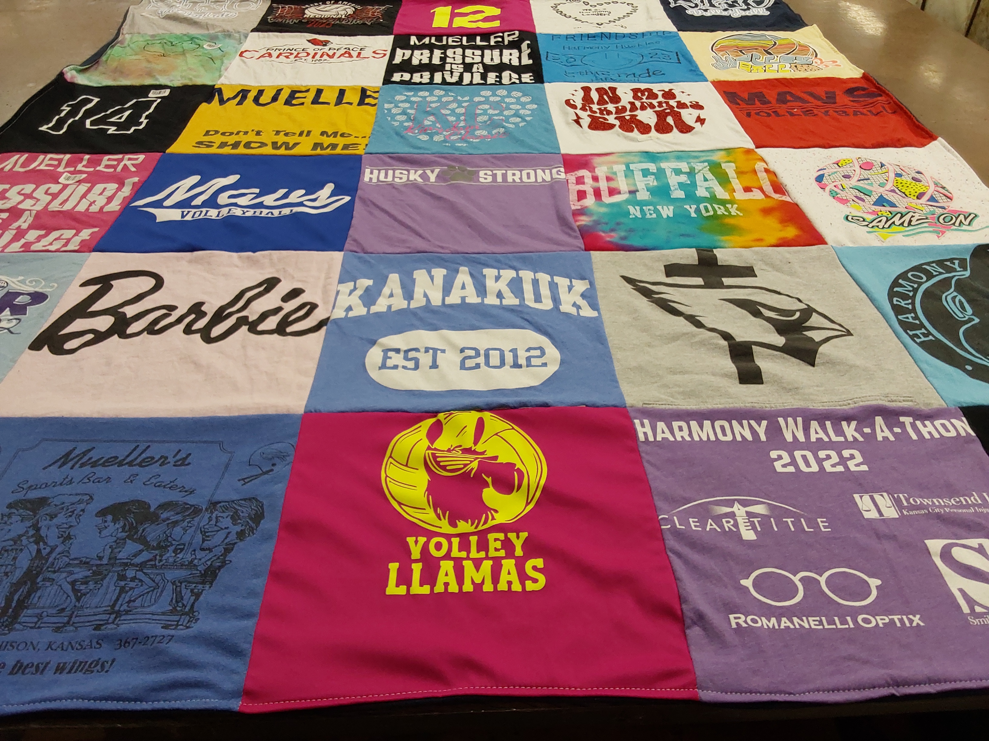 T-shirt quilt featuring volley llamas by riley from KS