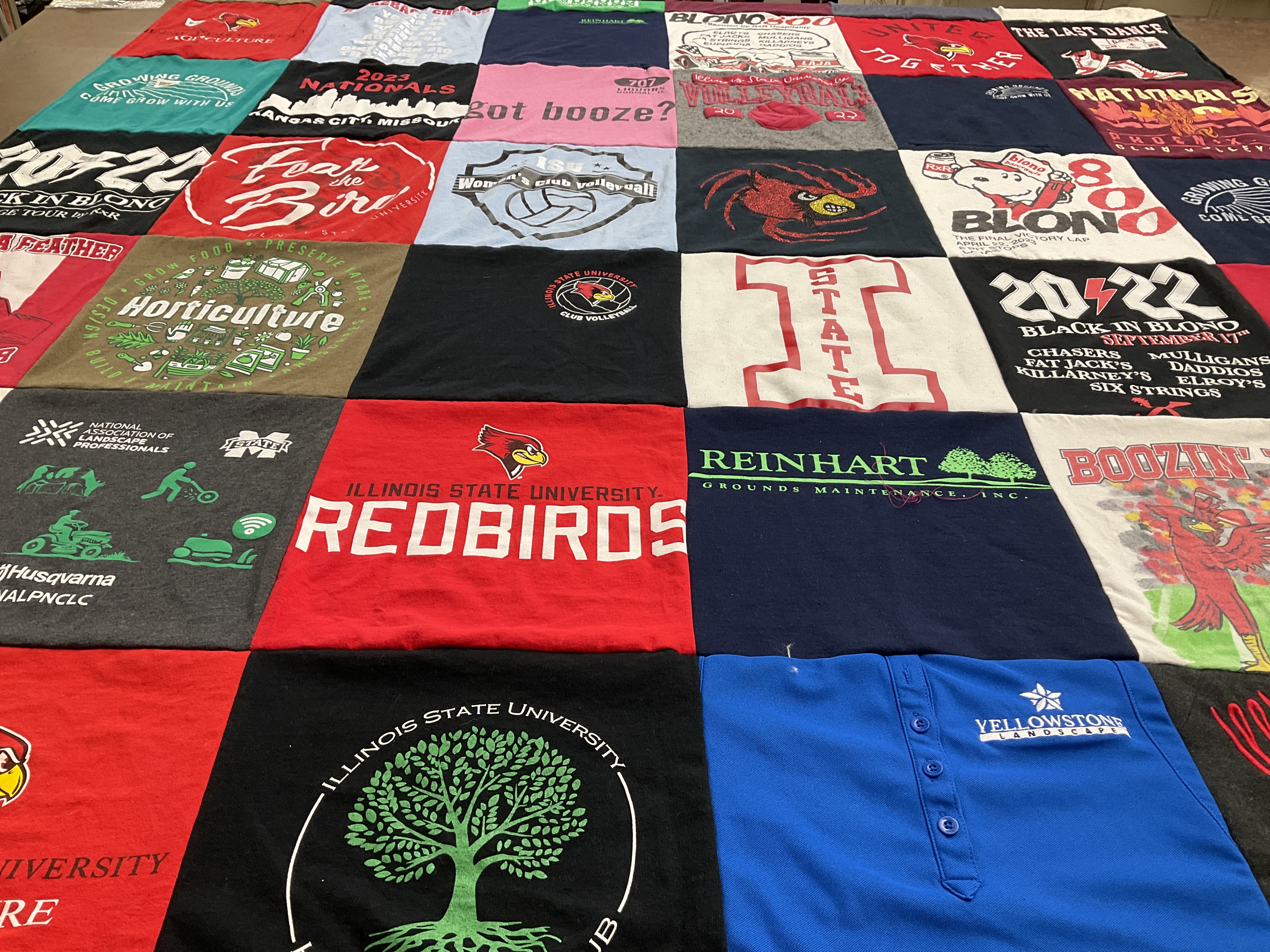 T-shirt quilt featuring illinois state university redbirds by Karen from IL