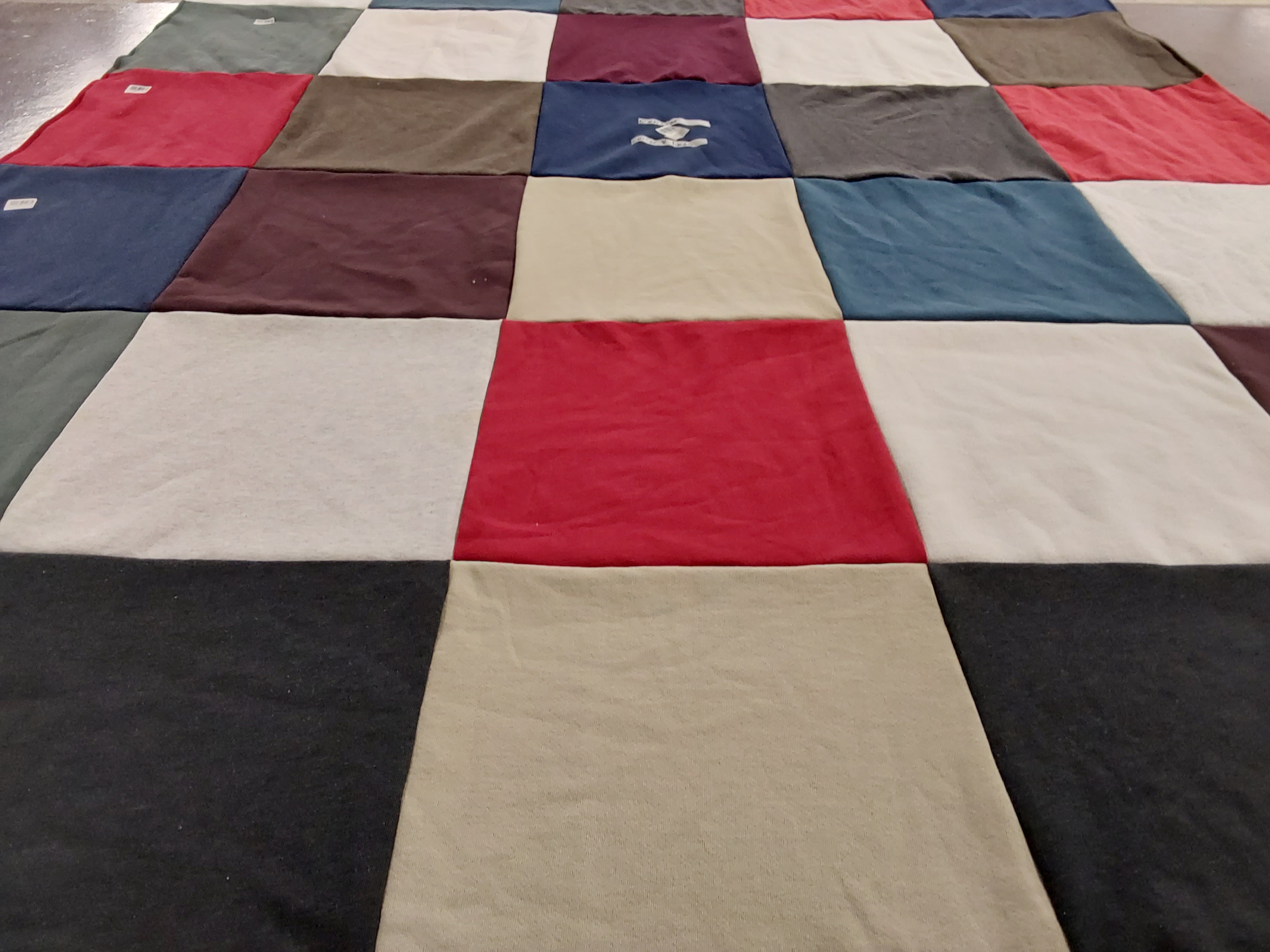 T-shirt quilt by Tari from IN