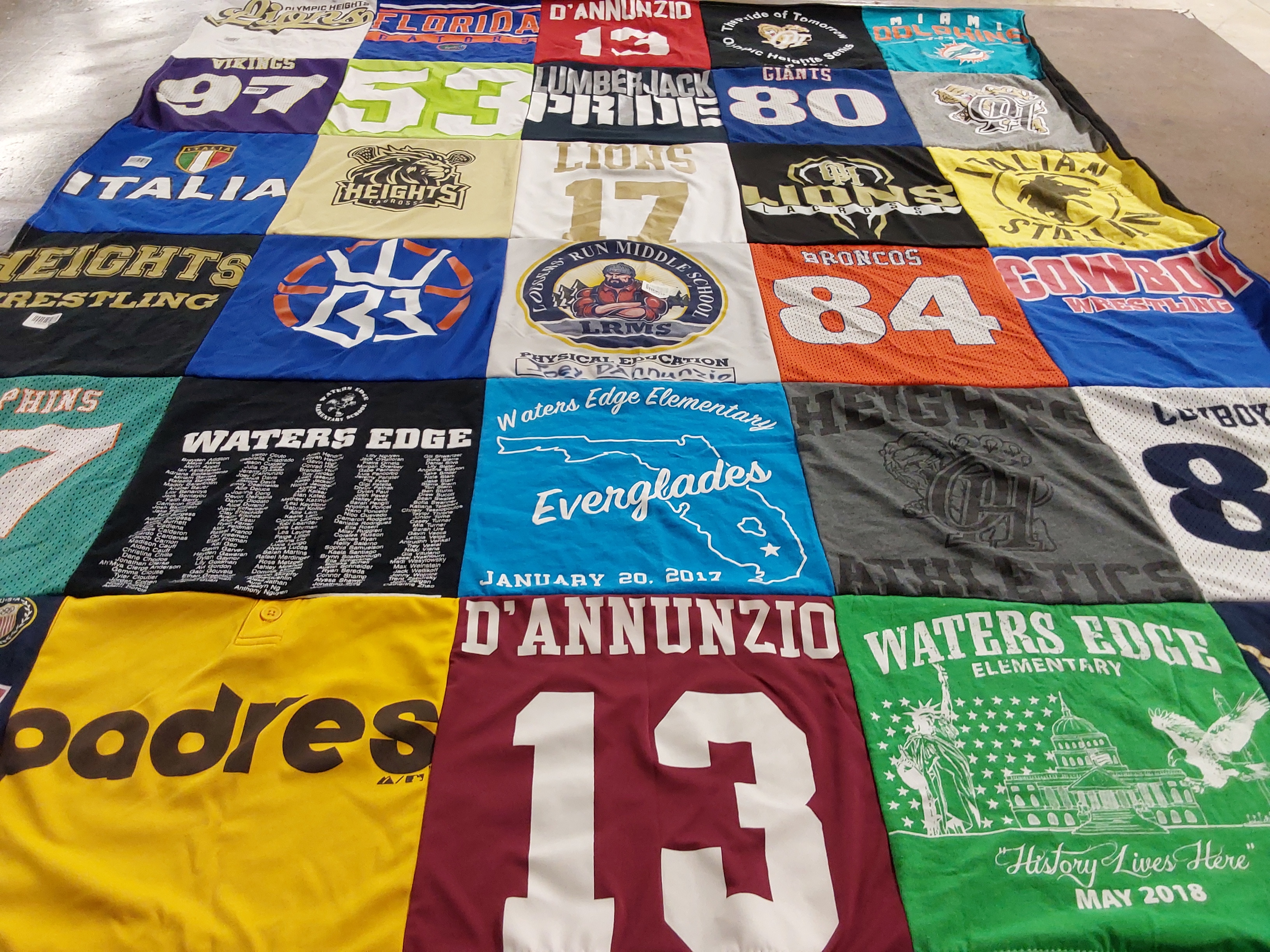 T-shirt quilt featuring dolphins, cowboys by Catrina from FL