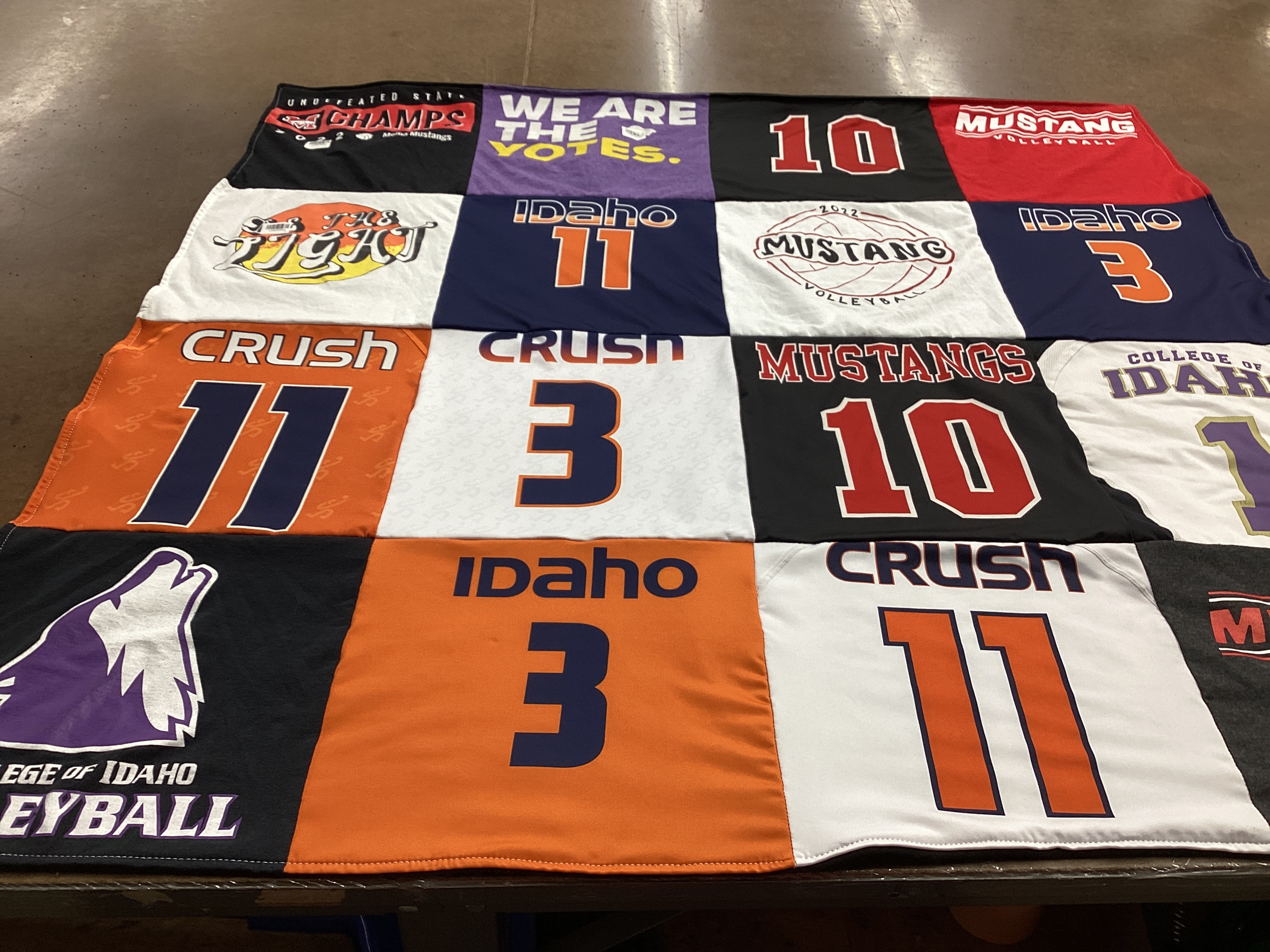 T-shirt quilt featuring mustangs, crush by Keylee from ID