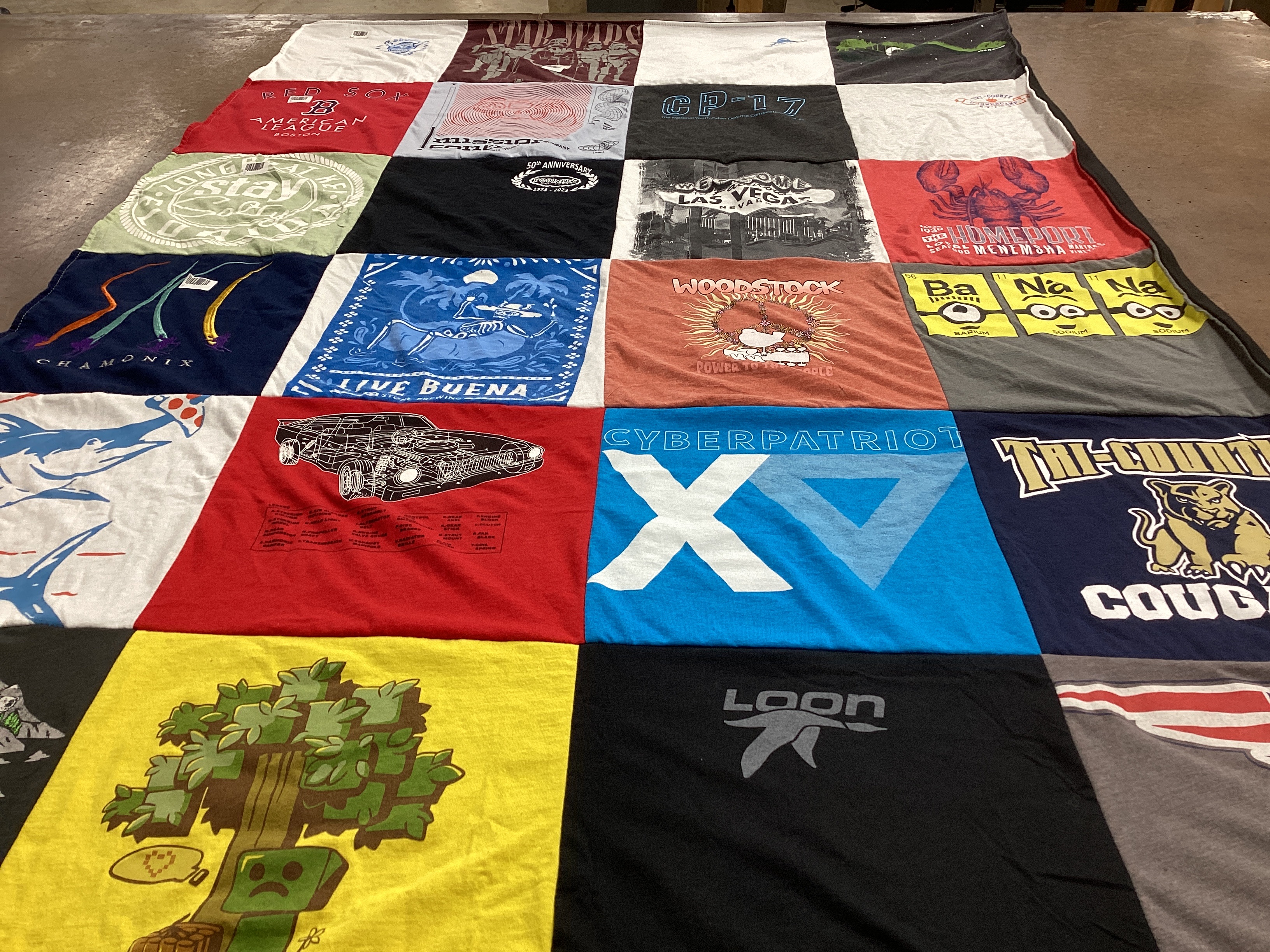 T-shirt quilt featuring cougars by Heather from MA