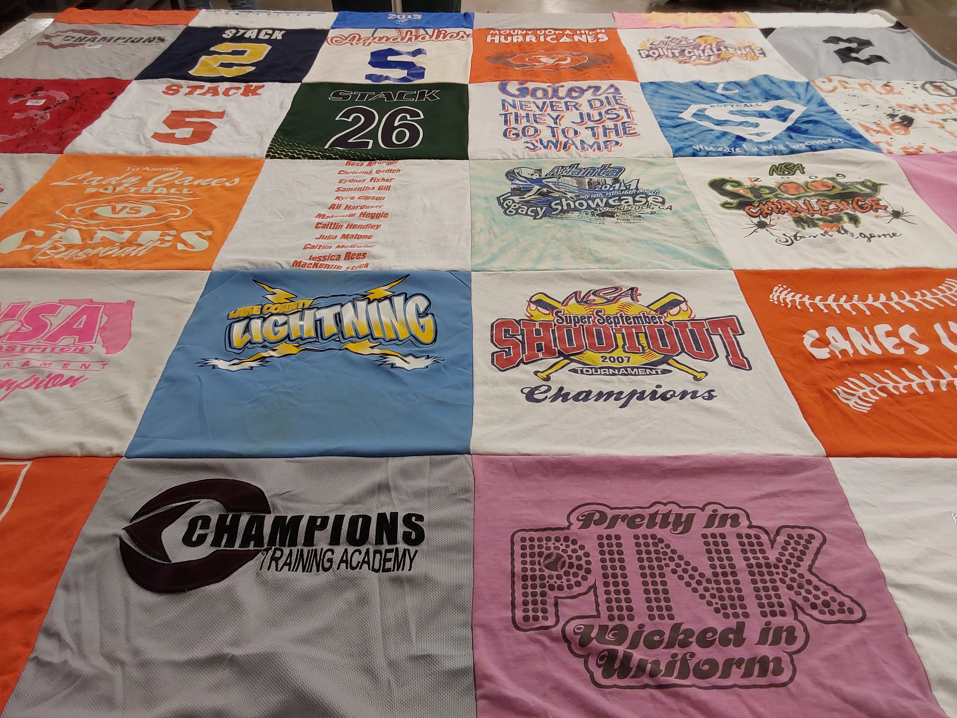 T-shirt quilt featuring lake county lightning by MacKenzie from FL