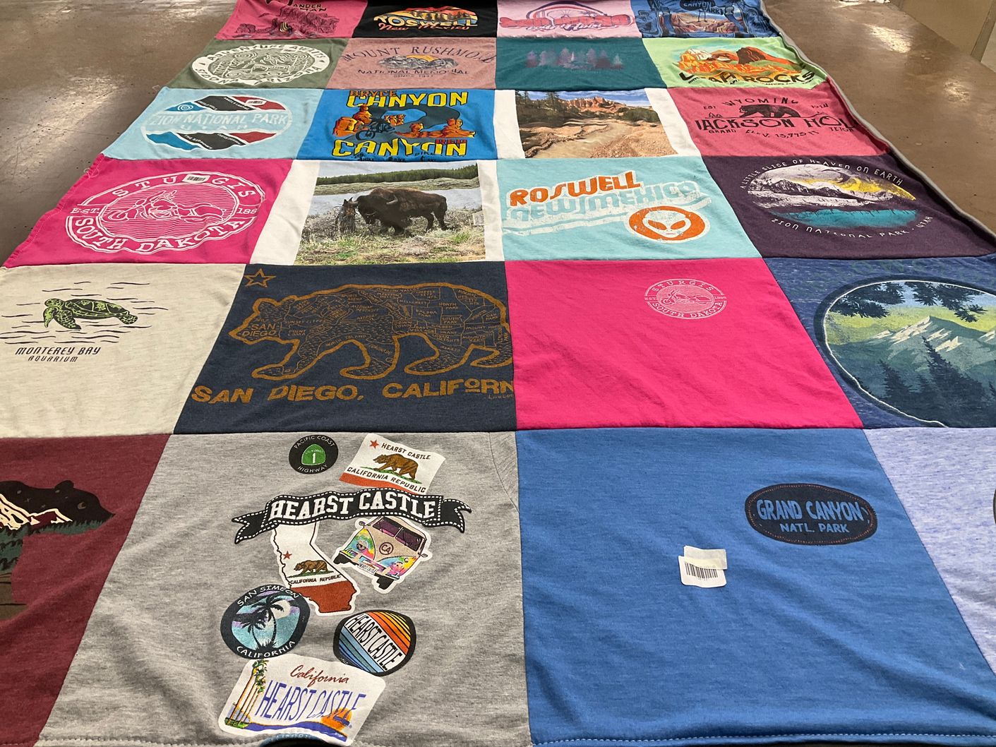 T-shirt quilt with national parks, aquariums themes by Danni from FL