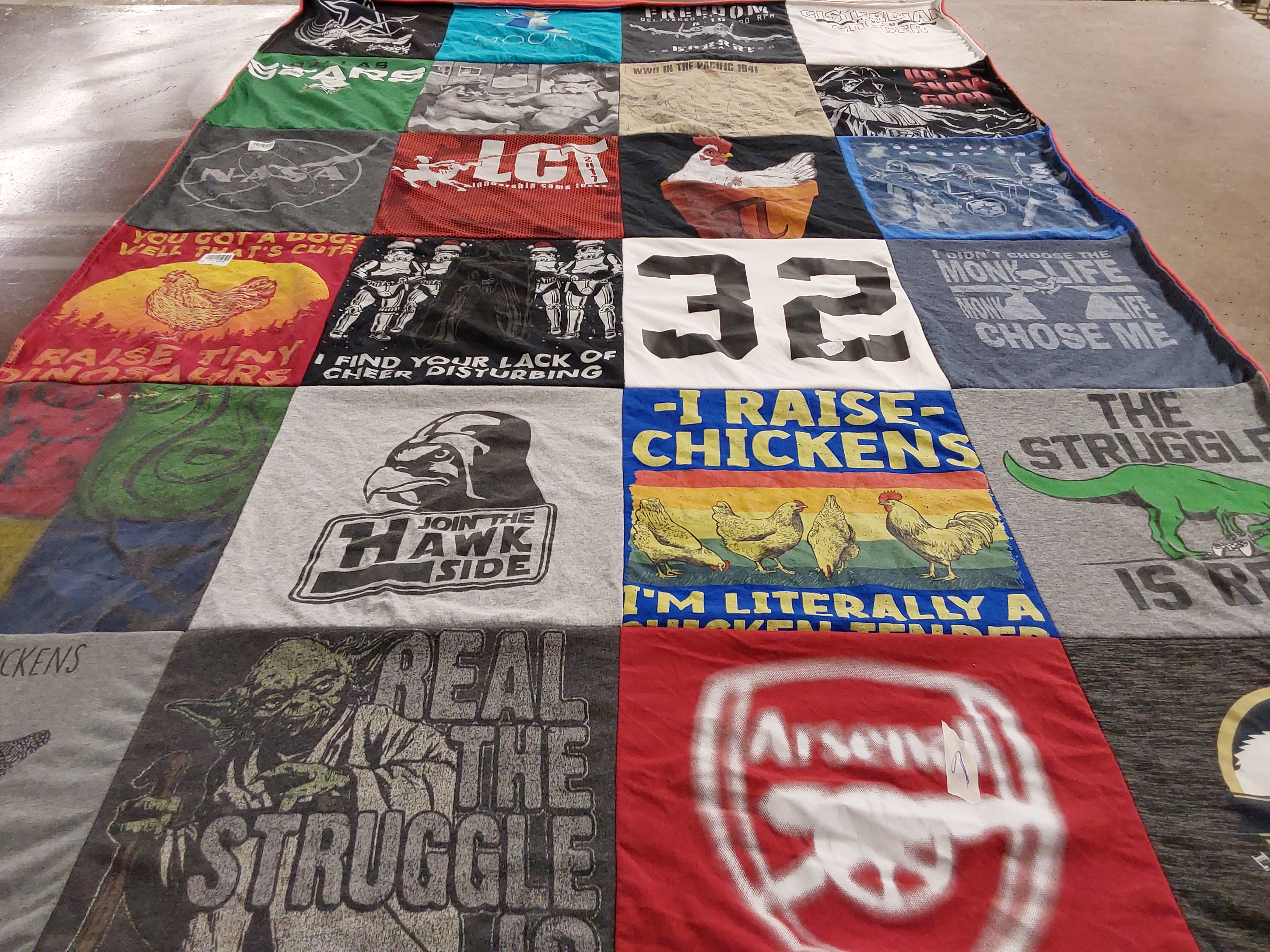 T-shirt quilt with raising chickens, dinosaurs themes by Dana from TX