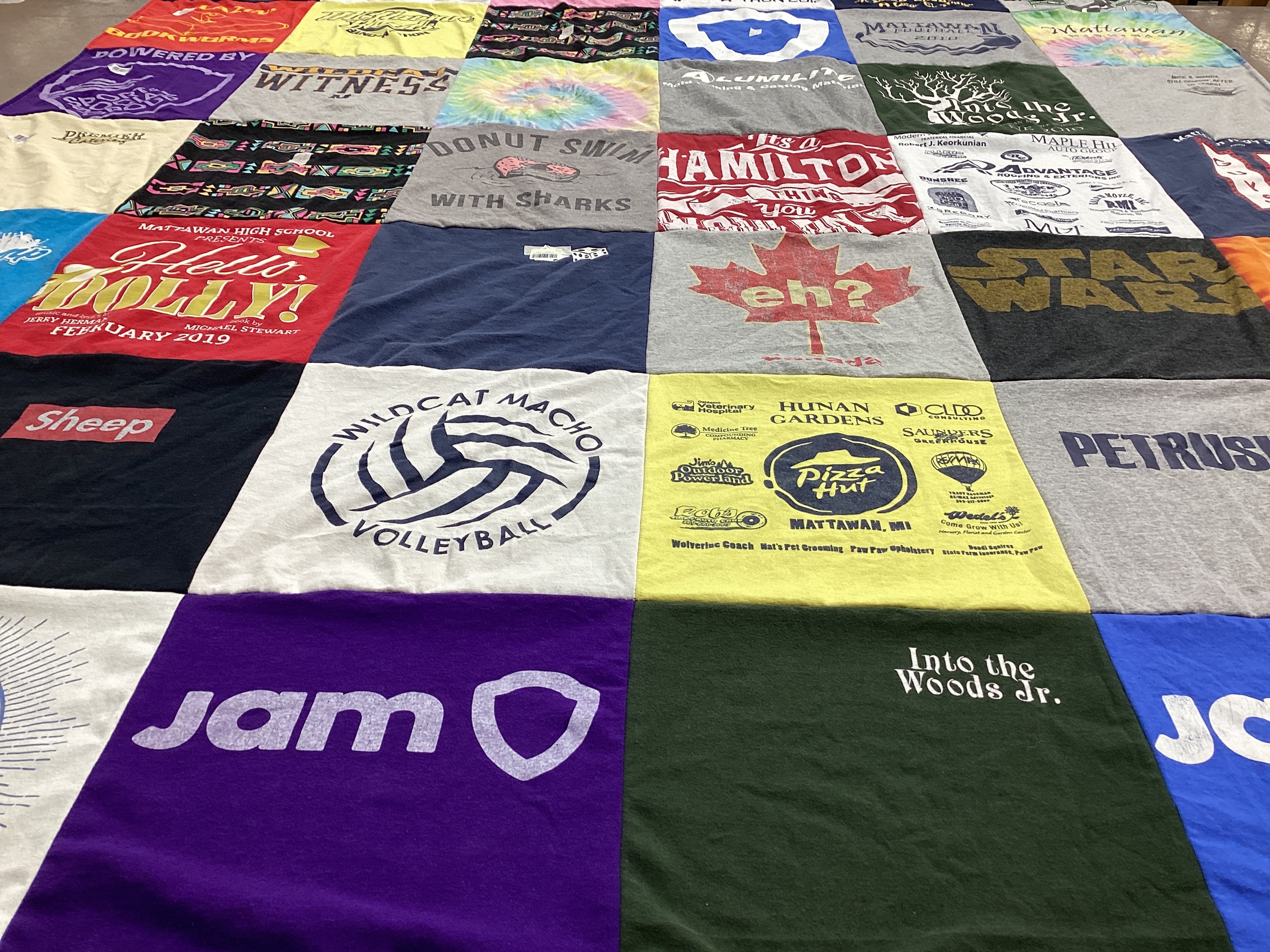 T-shirt quilt featuring wildcat macho volleyball by Katie from MI