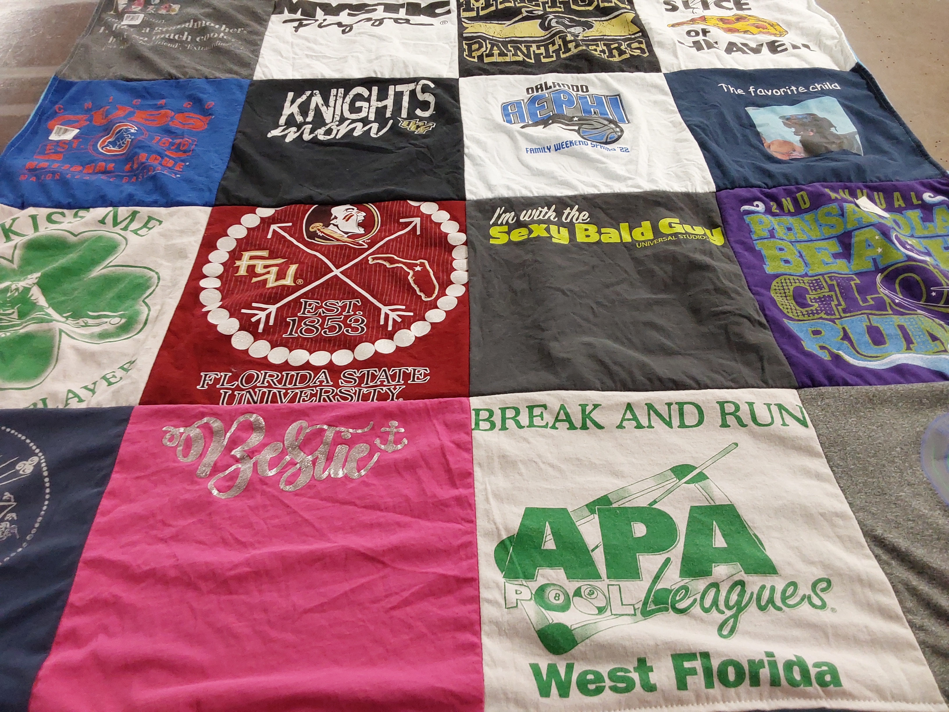 T-shirt quilt featuring panthers by Kristie from FL