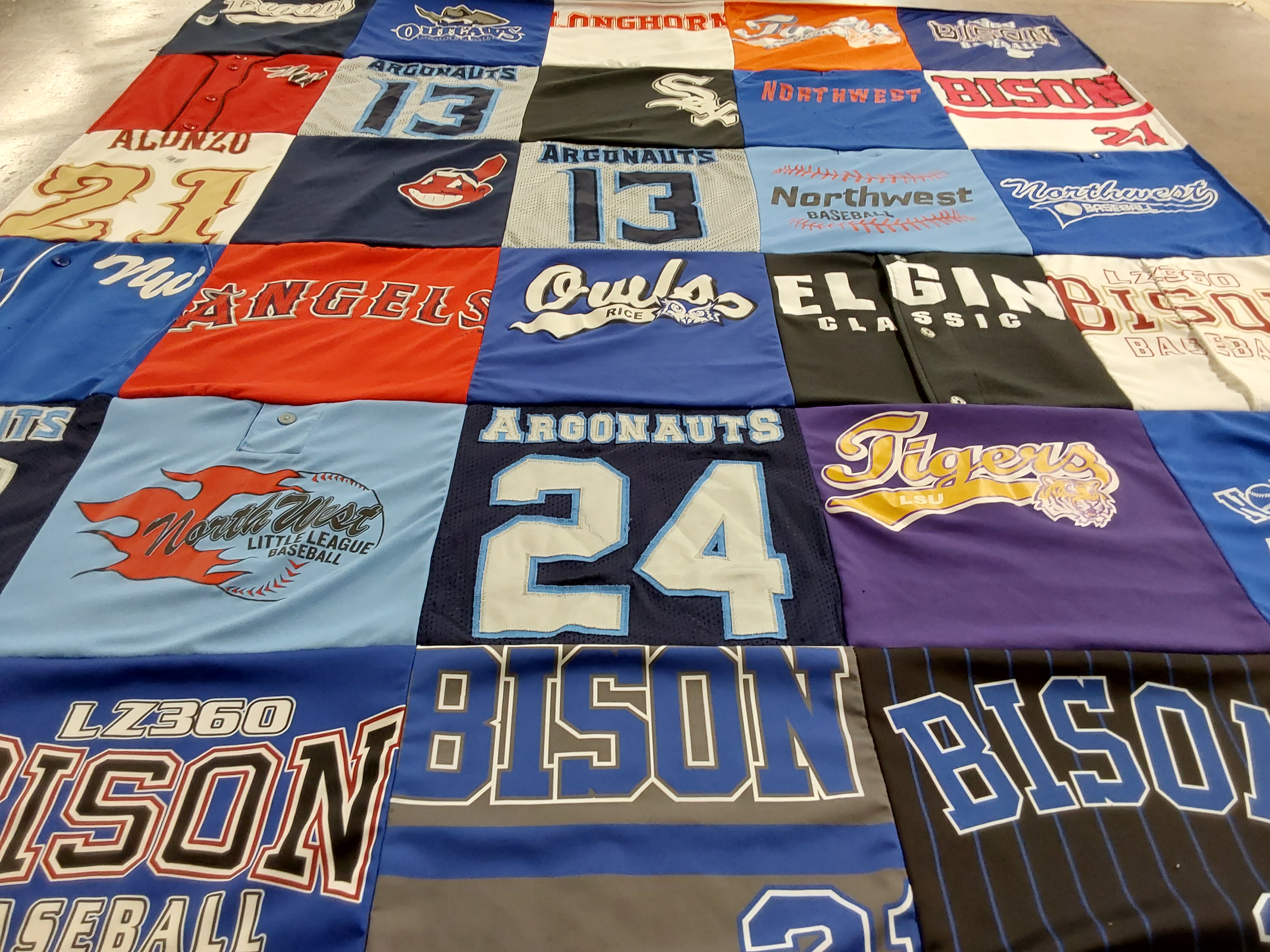 T-shirt quilt featuring bison, argonauts by Jose from IL