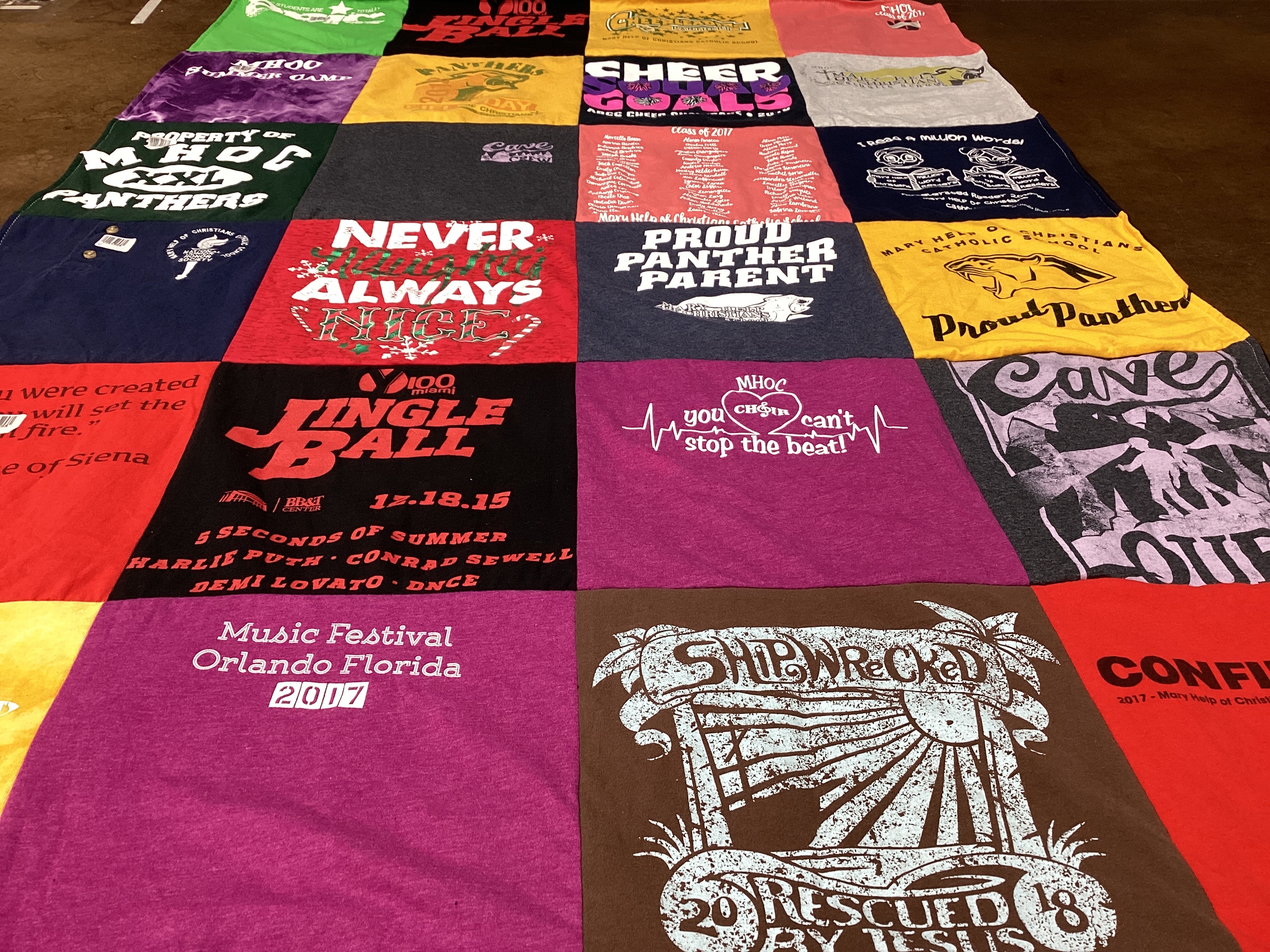 T-shirt quilt featuring panthers by Casey from FL