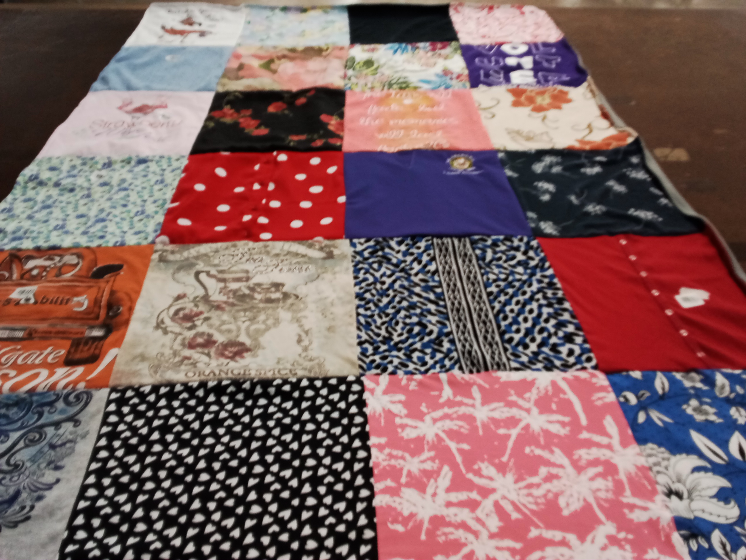 T-shirt quilt with travel, nature themes by Suzanne from NY