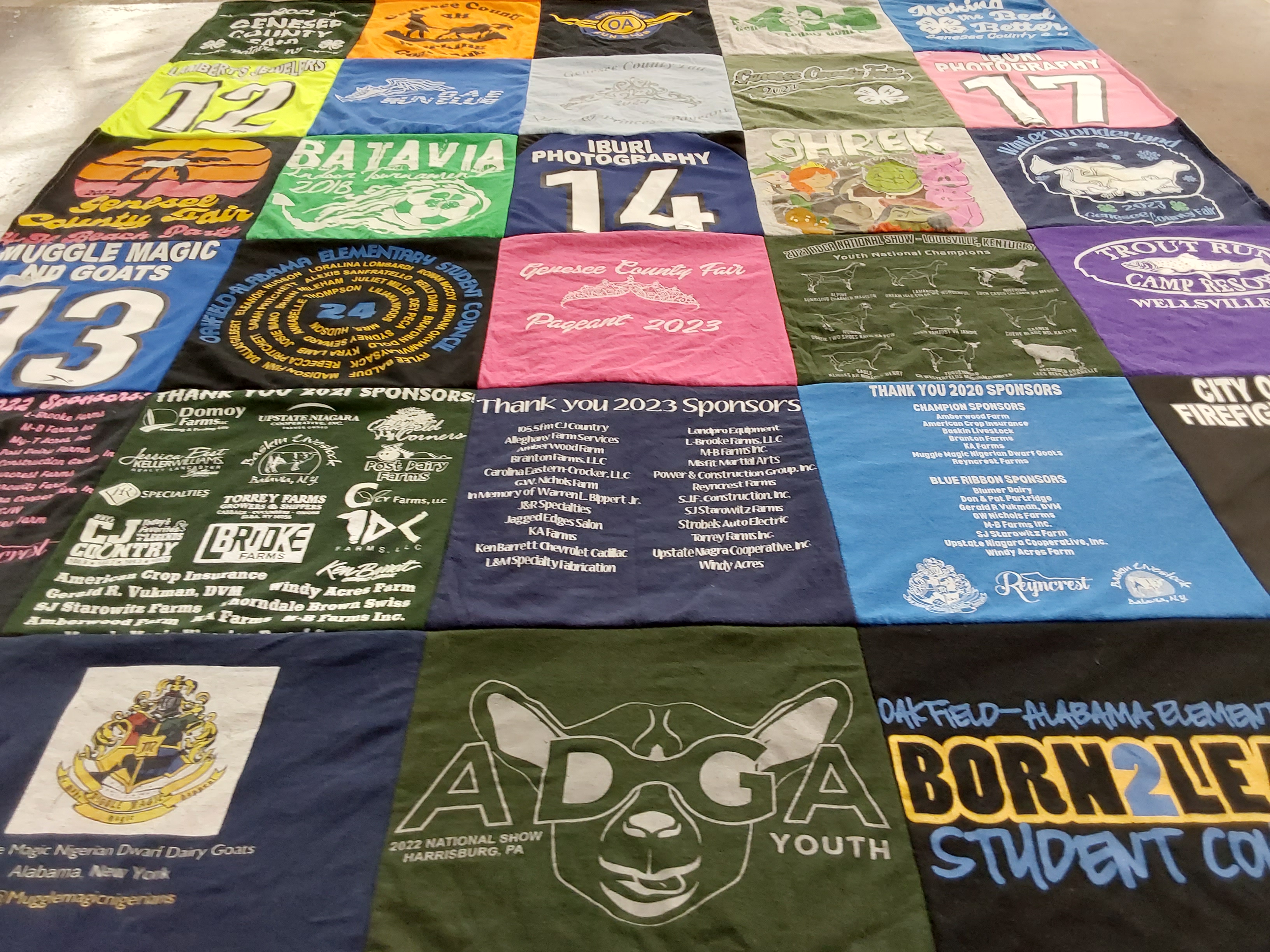 T-shirt quilt with farming, photography themes by Holly from NY