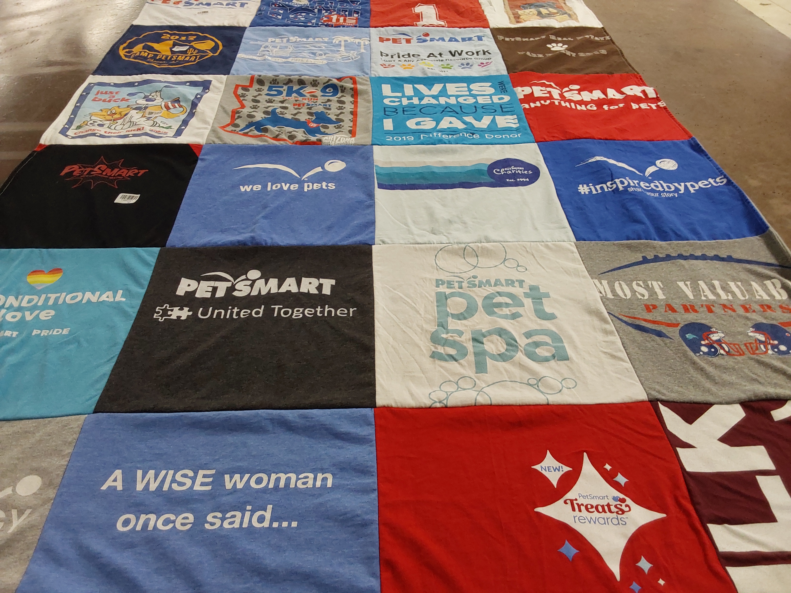 T-shirt quilt with pets, animal care themes by Susan from AZ