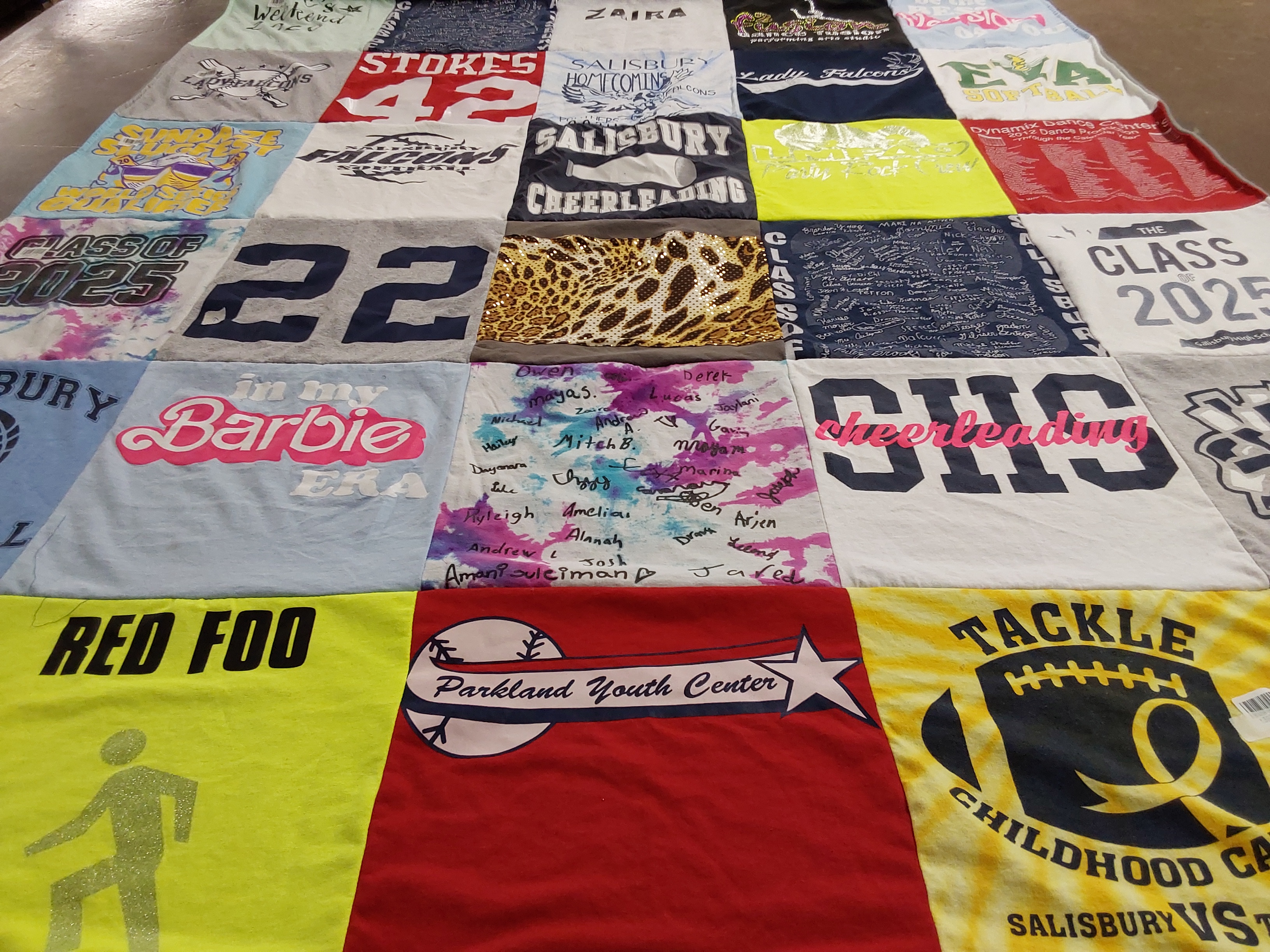 T-shirt quilt featuring salisbury falcons by Kristin from PA