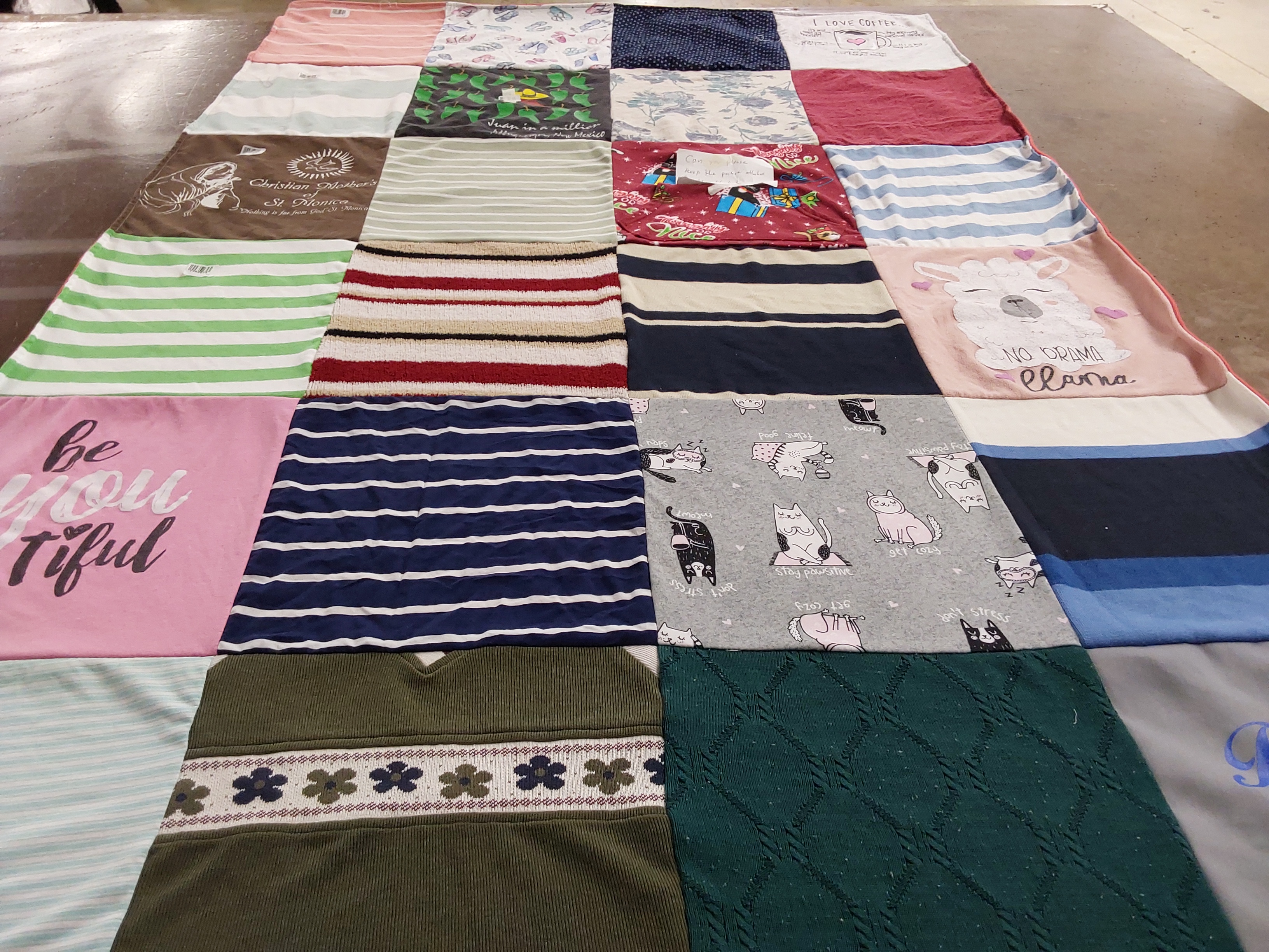 T-shirt quilt with cats, llamas themes by Mike from CO