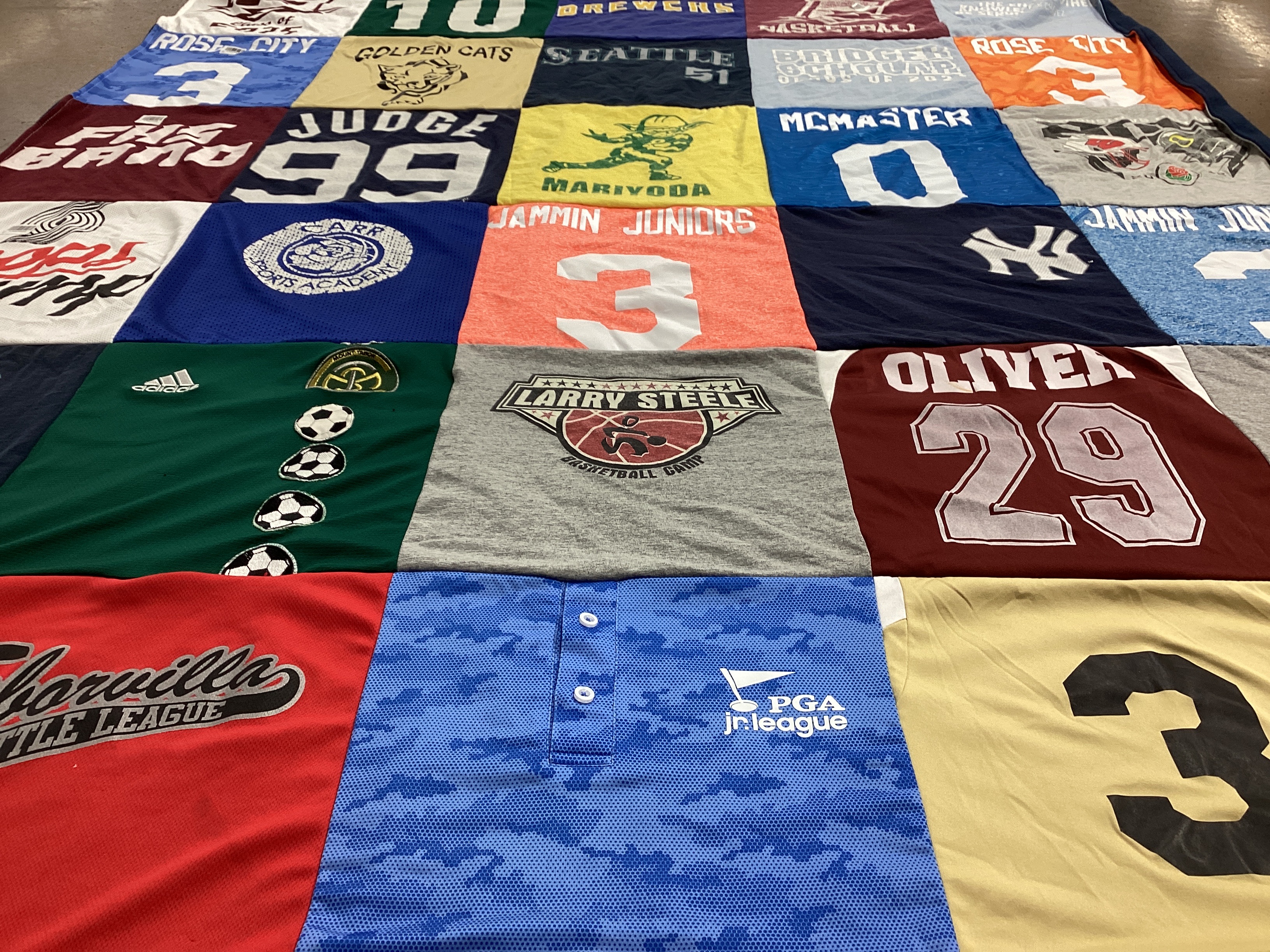 T-shirt quilt featuring golden cats, jammin juniors by Megan from OR