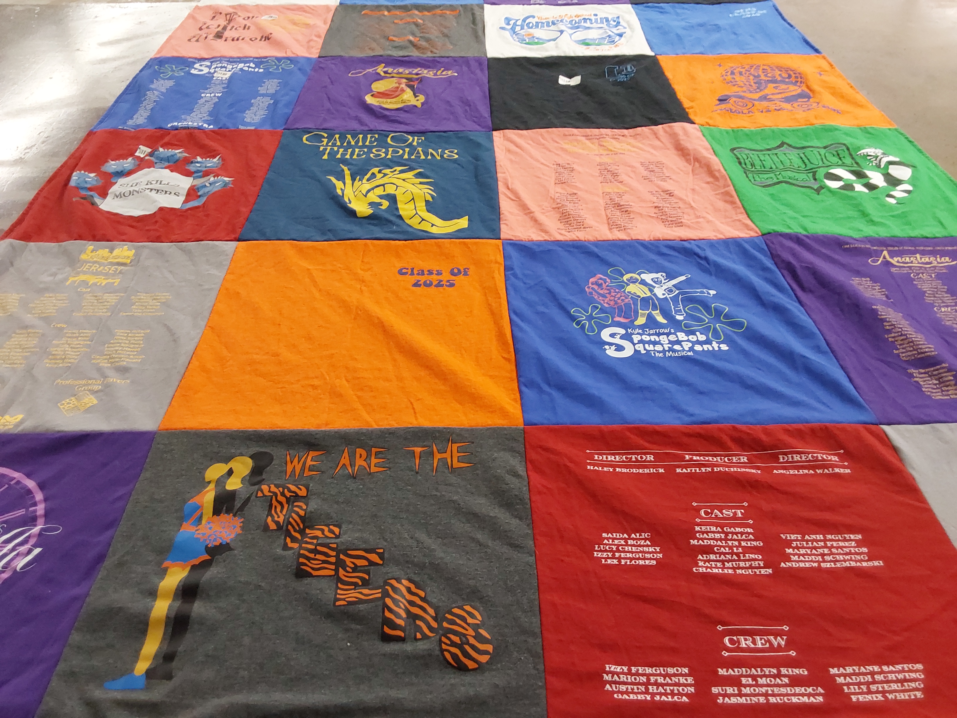 T-shirt quilt featuring tigers by Mary from FL