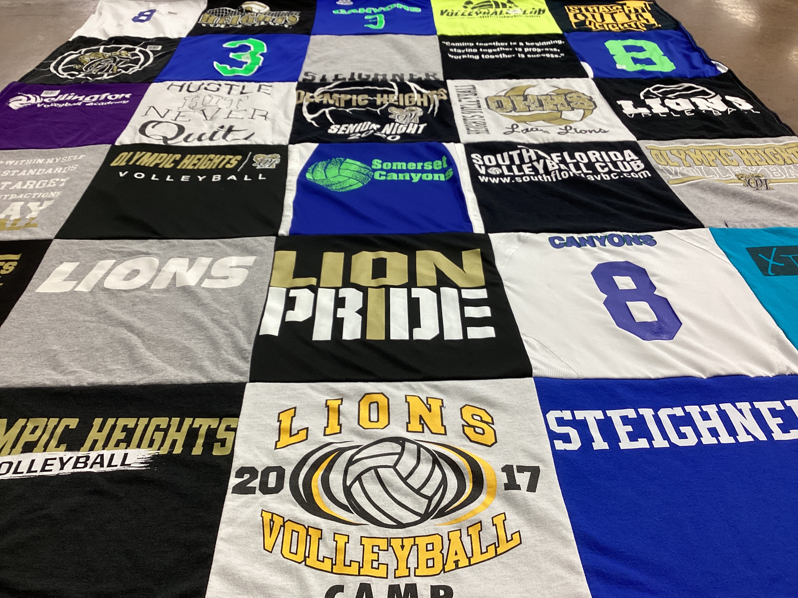 T-shirt quilt featuring lions volleyball, lans lions by Brian from FL