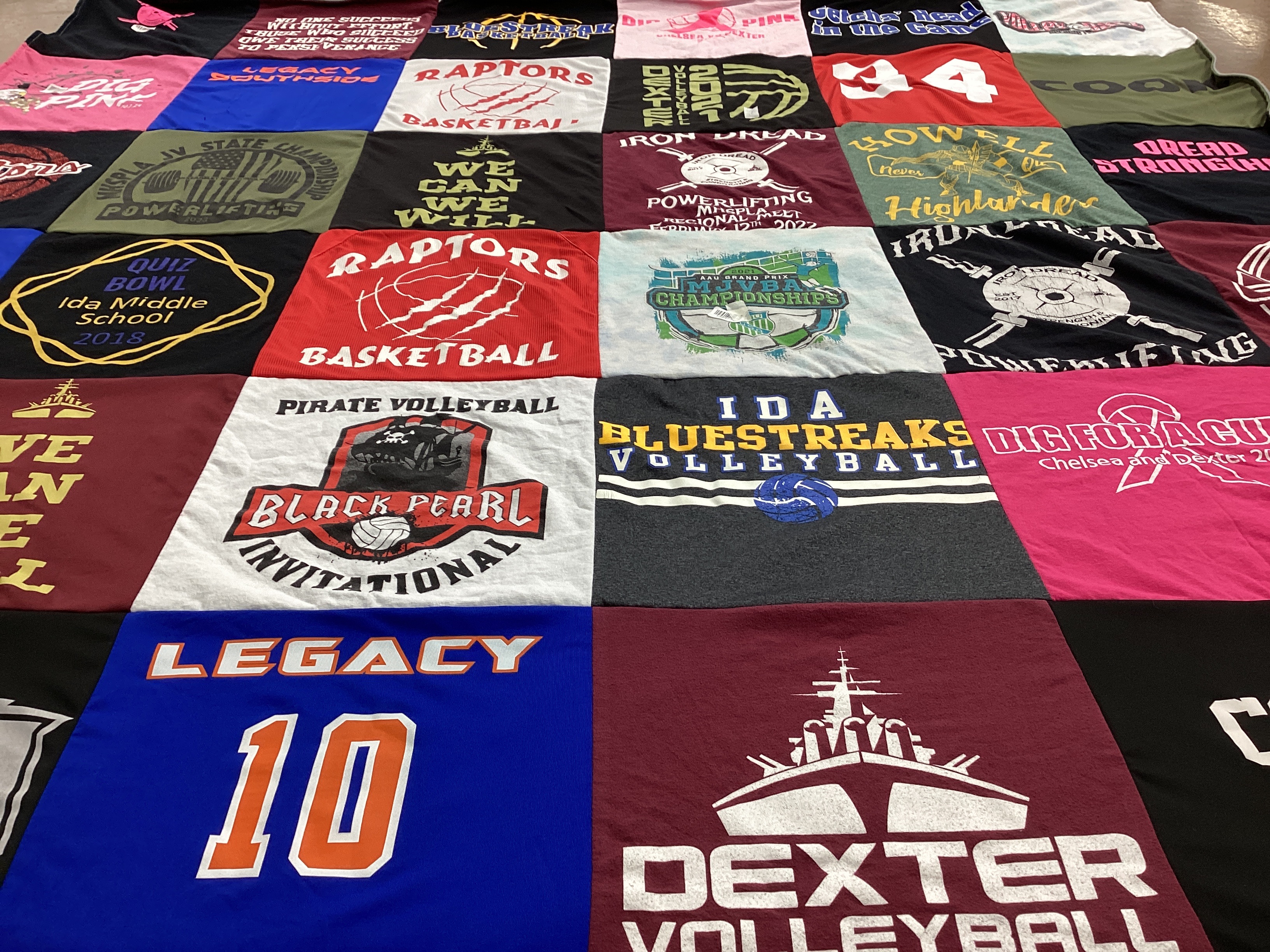 T-shirt quilt featuring raptors, bluestreaks by Karen from MI