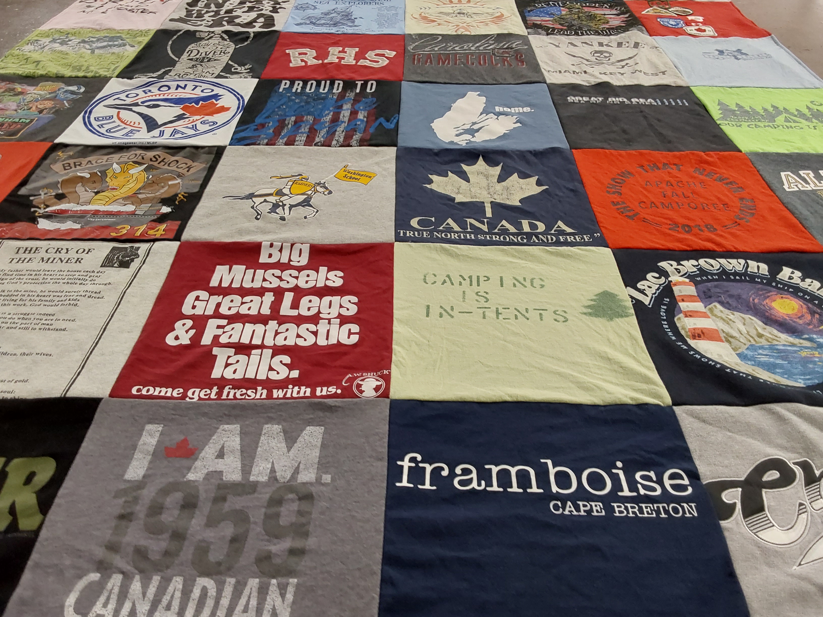 T-shirt quilt featuring toronto blue jays by April from NC