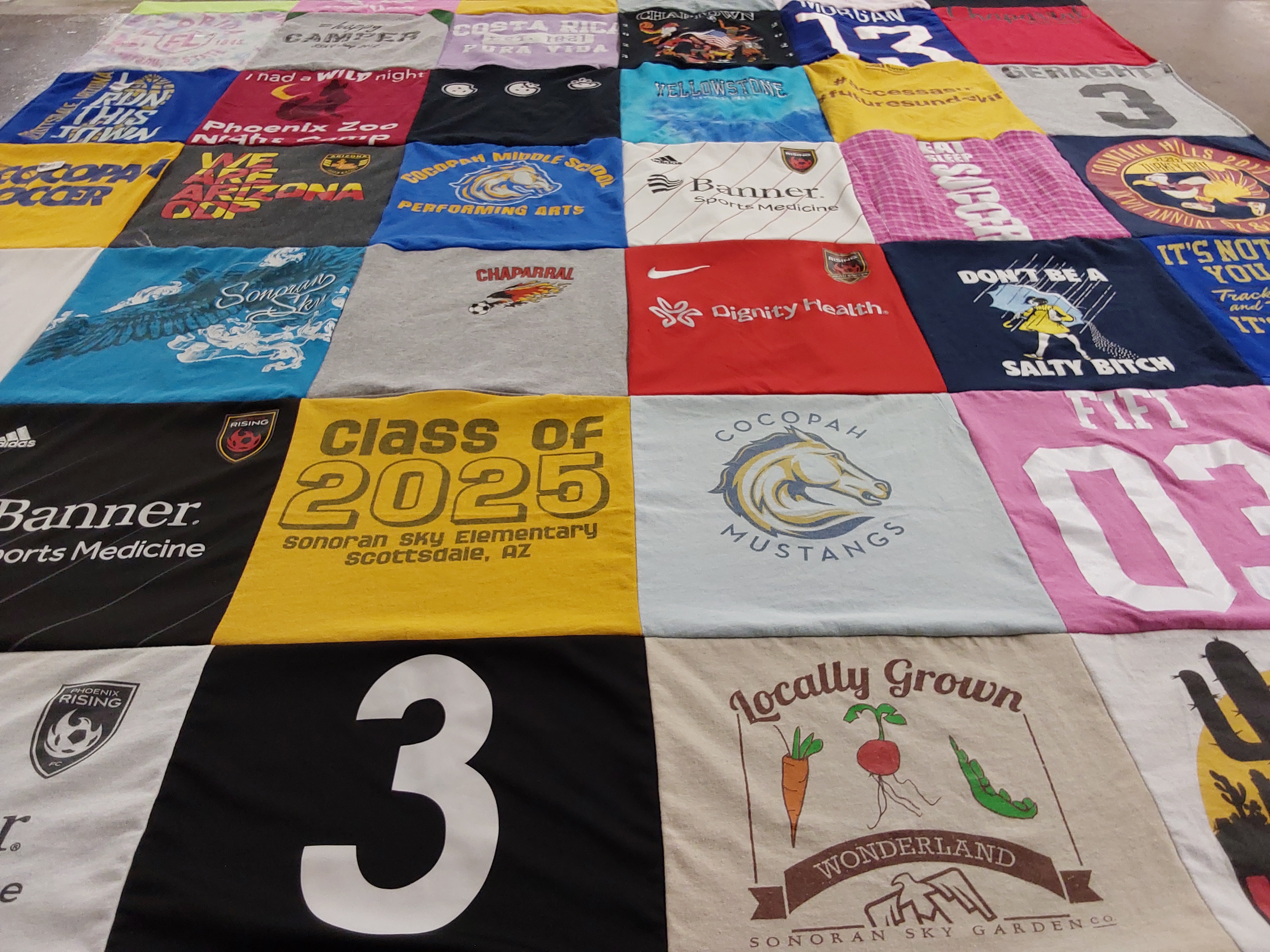 T-shirt quilt featuring phoenix rising by Marisha from AZ