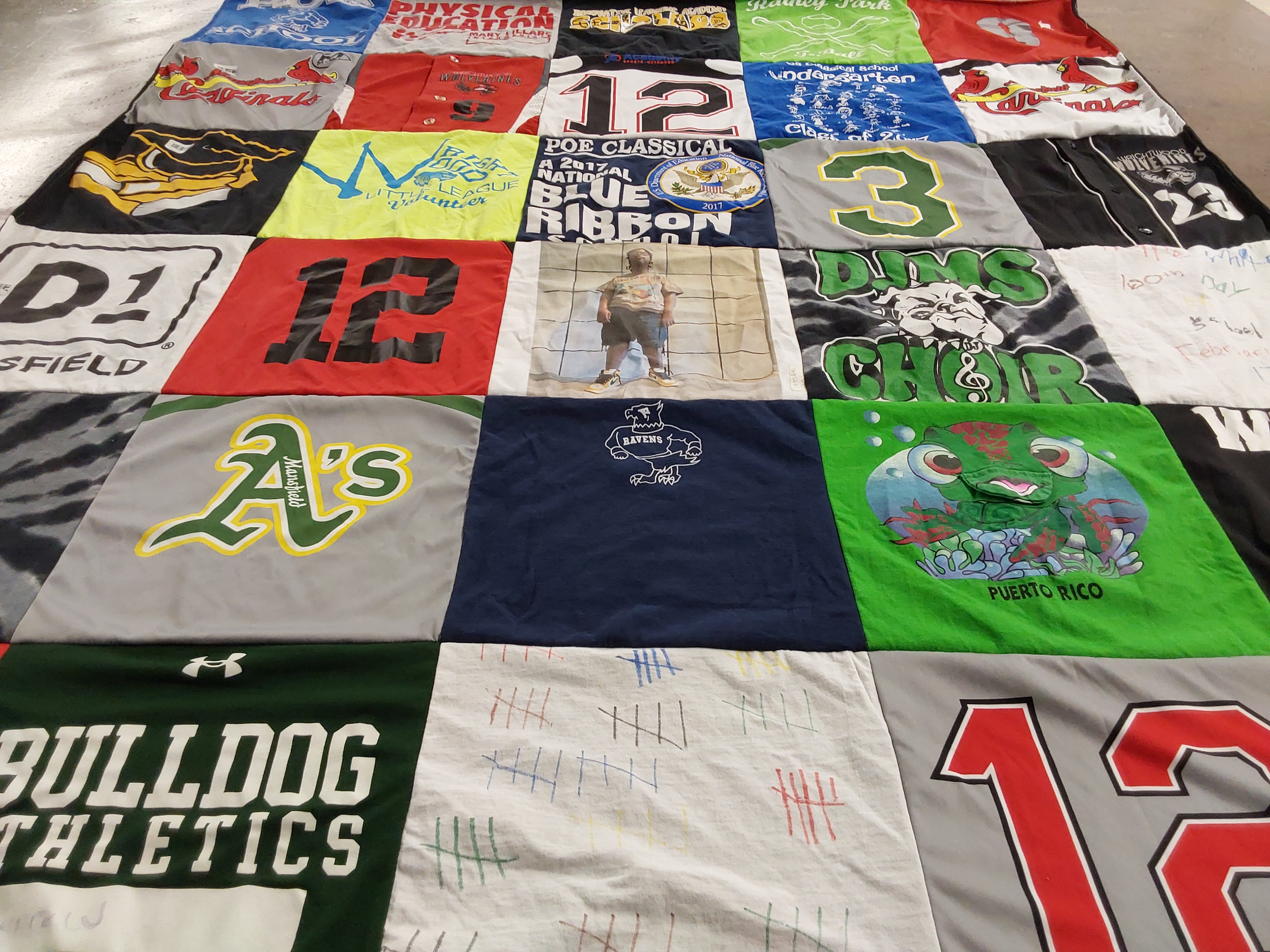 T-shirt quilt featuring cardinals, a's by LENISE from TX