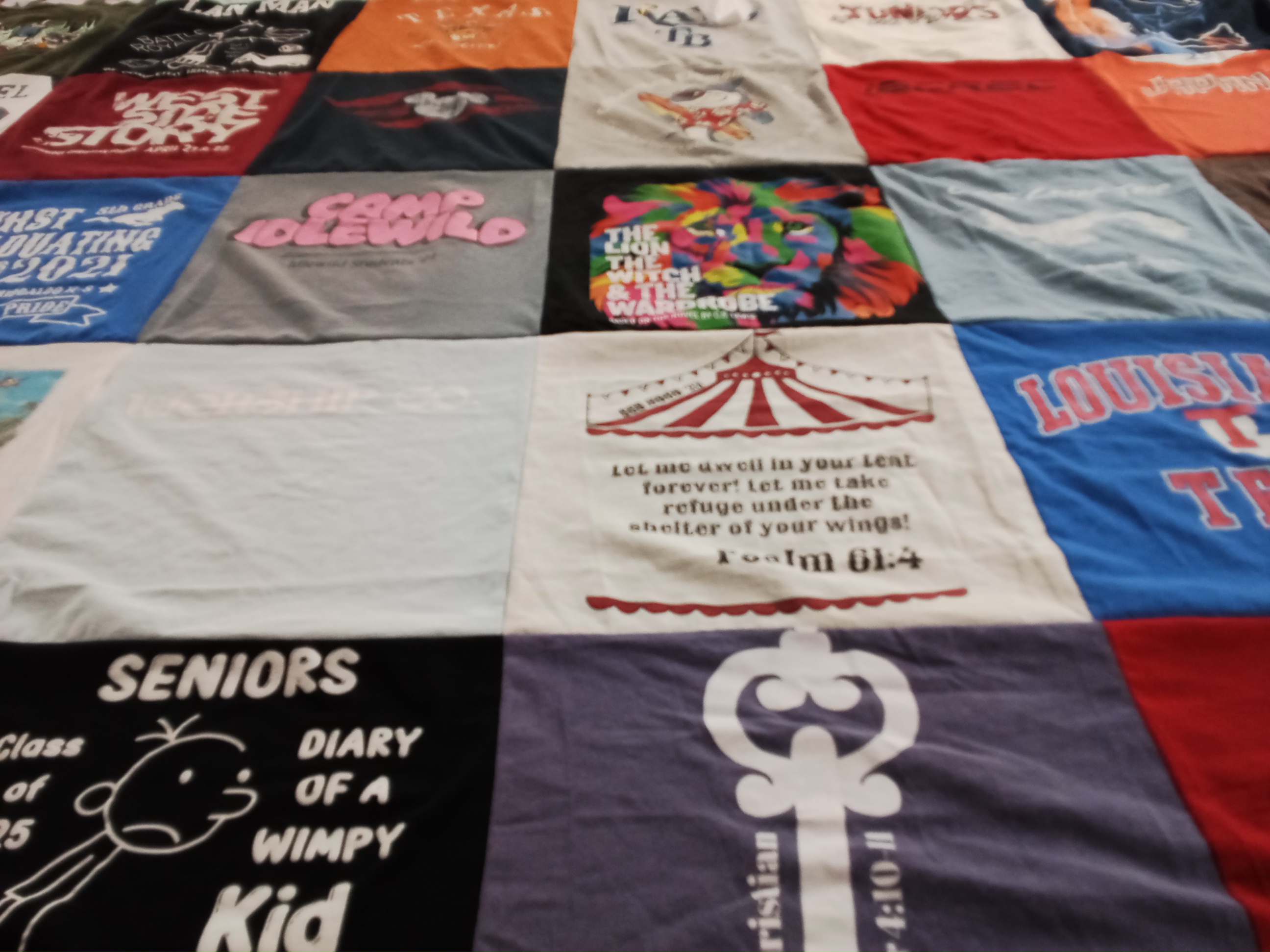 T-shirt quilt from louisiana tigers by Dawn from FL